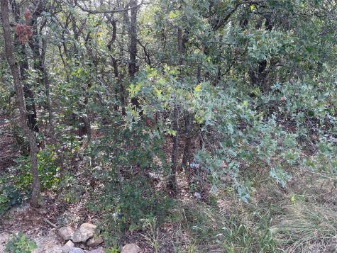 Lot 29 Brittons Lane Runaway Bay TX 76426