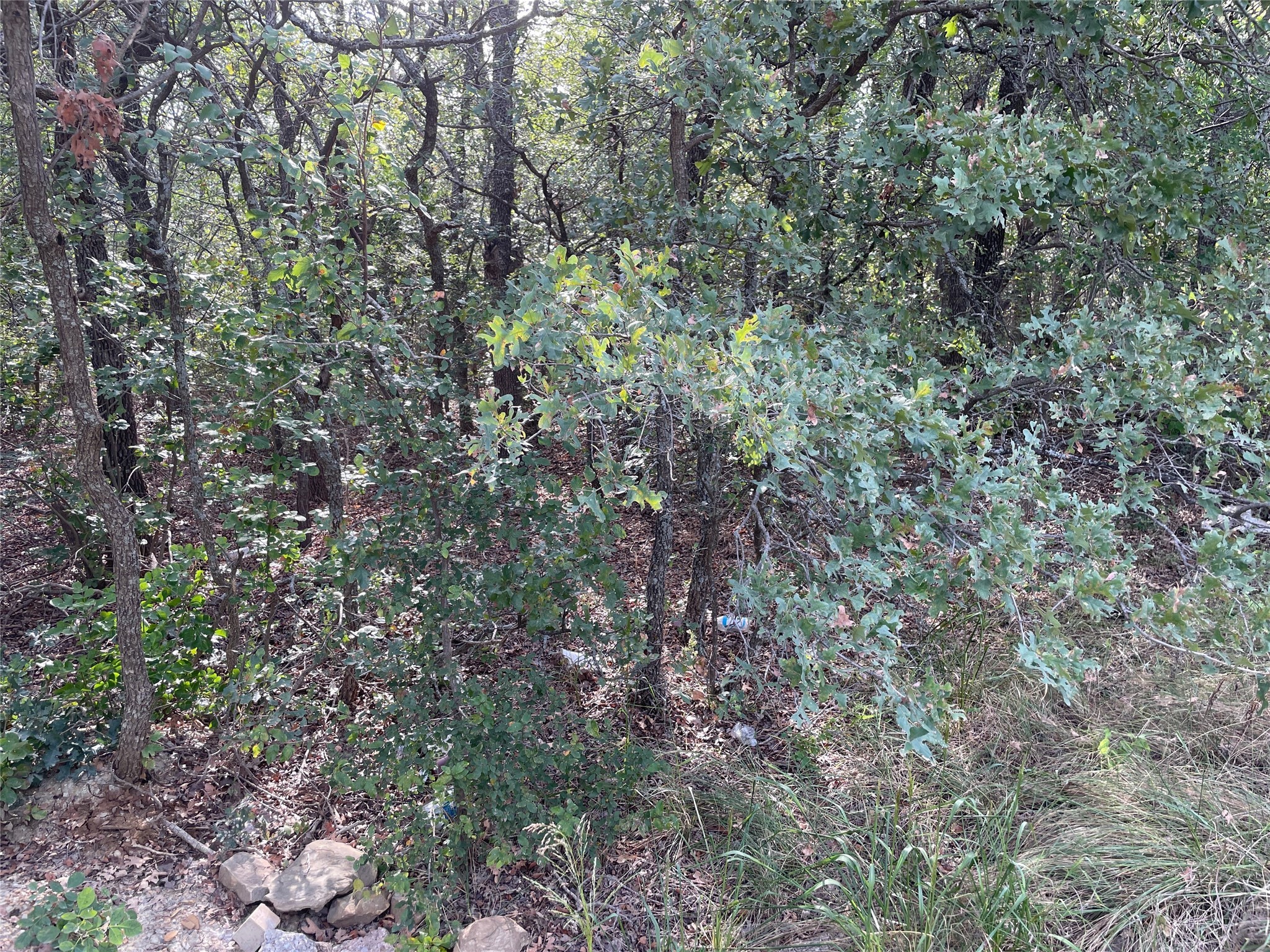 Lot 29 Brittons Lane Runaway Bay TX 76426