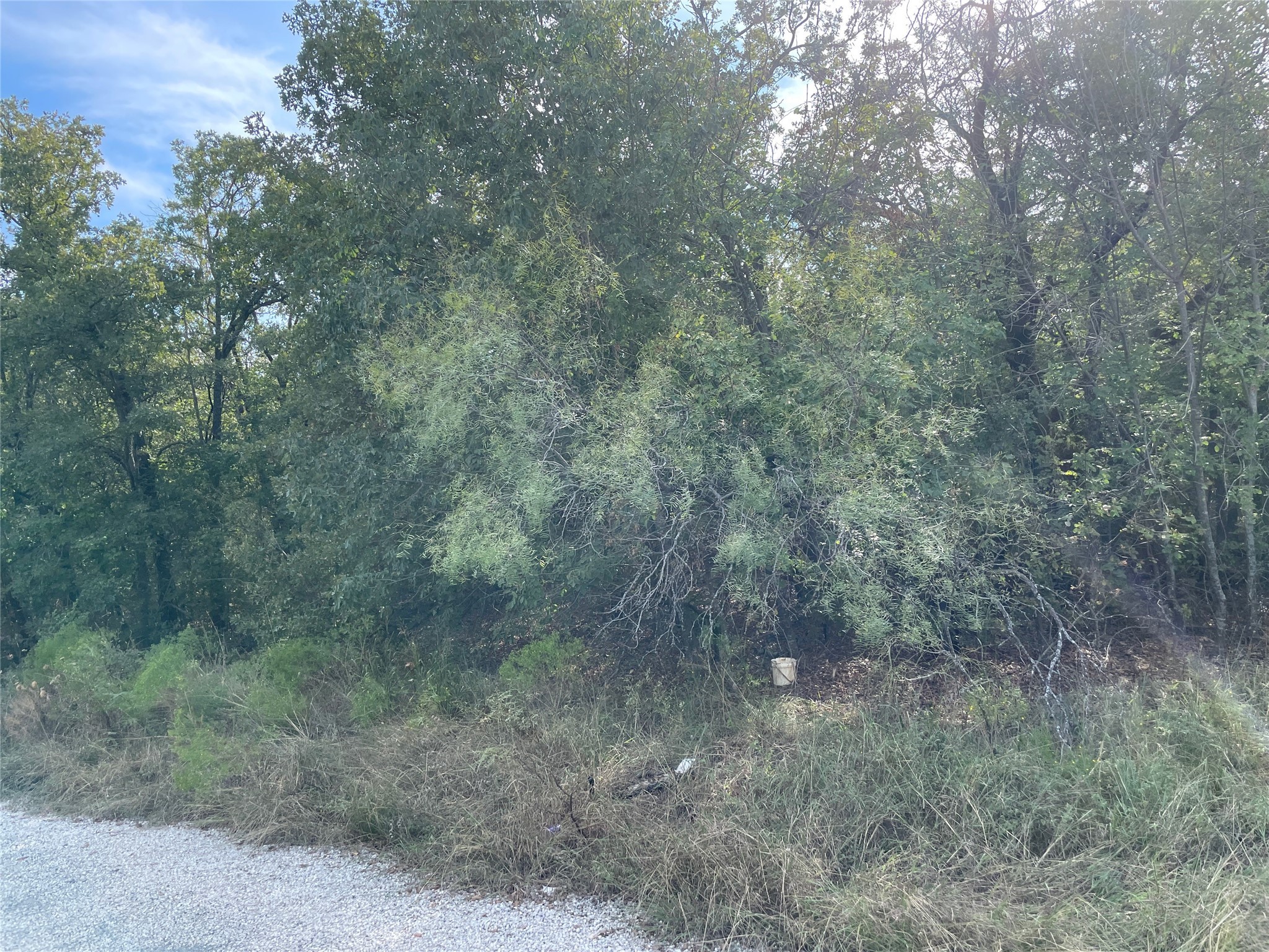 Lot 29 Brittons Lane Runaway Bay TX 76426