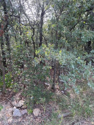 Lot 29 Brittons Lane Runaway Bay TX 76426