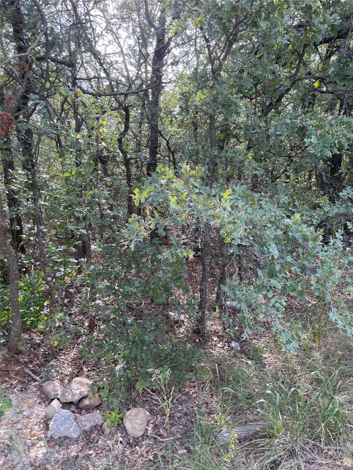 Lot 29 Brittons Lane Runaway Bay TX 76426