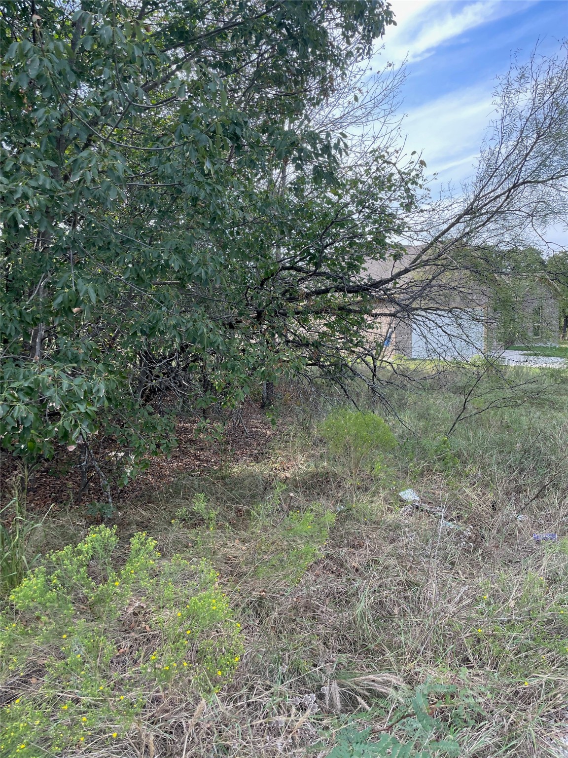 Lot 29 Brittons Lane Runaway Bay TX 76426
