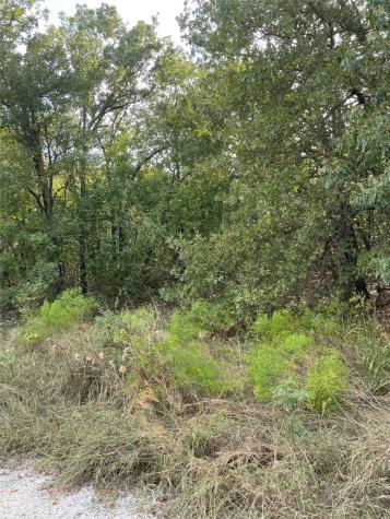 Lot 29 Brittons Lane Runaway Bay TX 76426