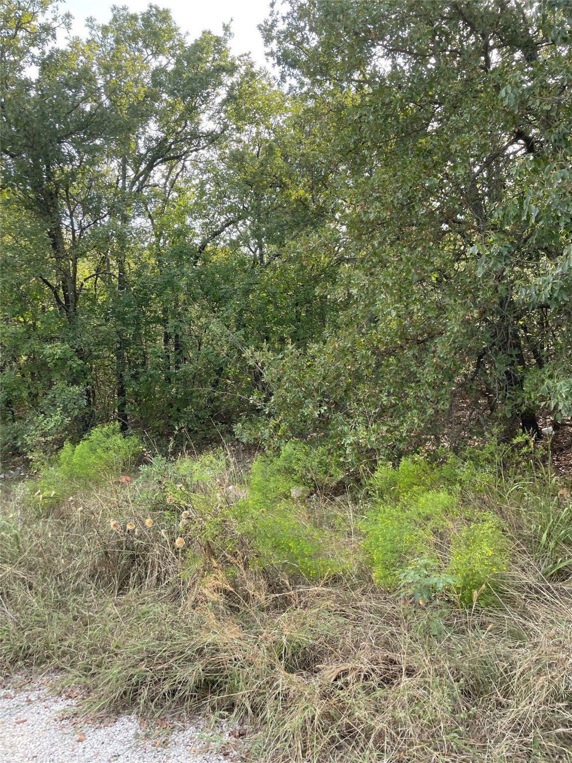 Lot 29 Brittons Lane Runaway Bay TX 76426