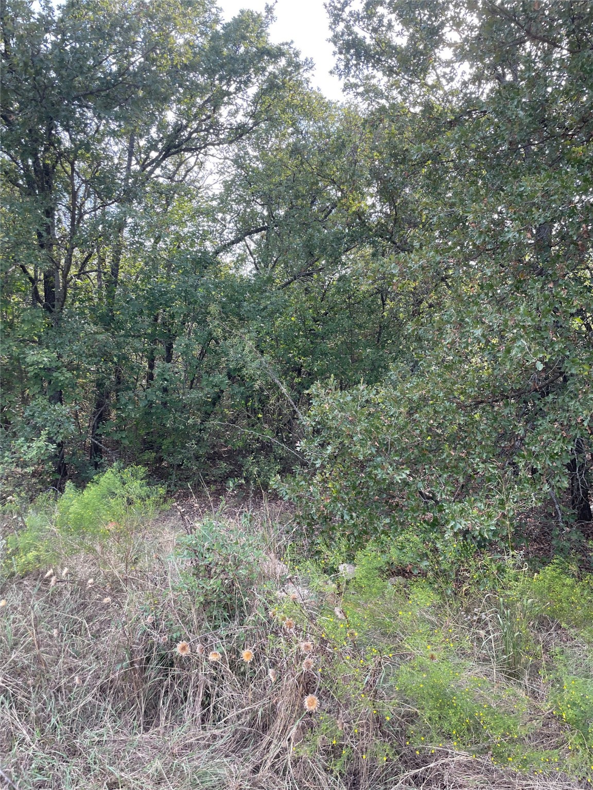 Lot 29 Brittons Lane Runaway Bay TX 76426