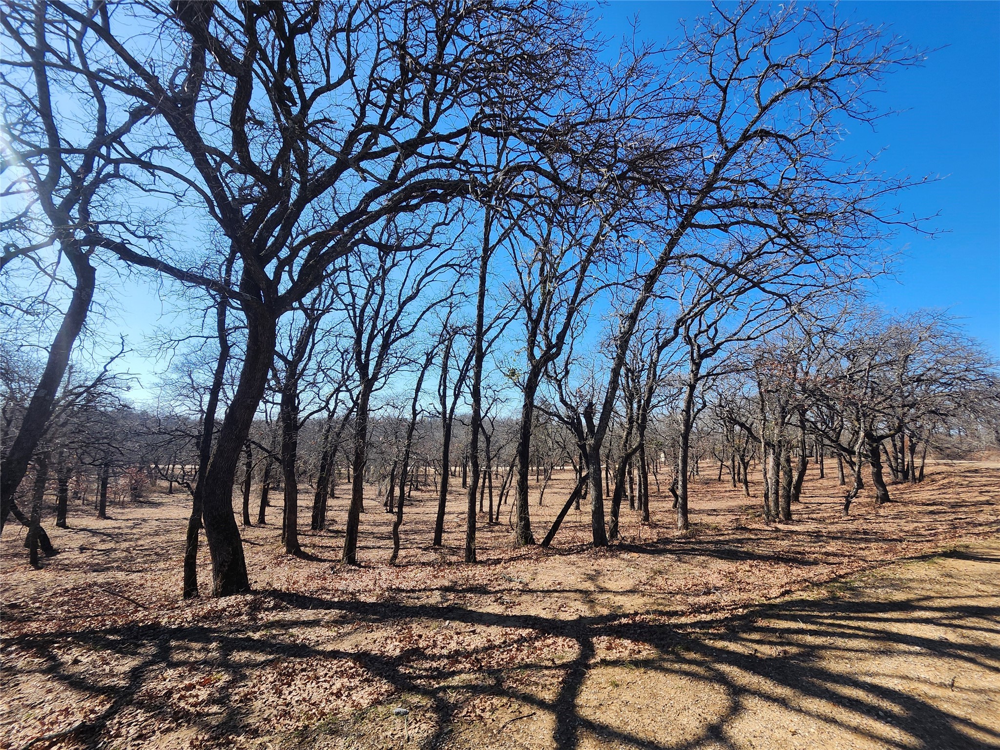 135 Mescalero Trail Nocona TX 76255