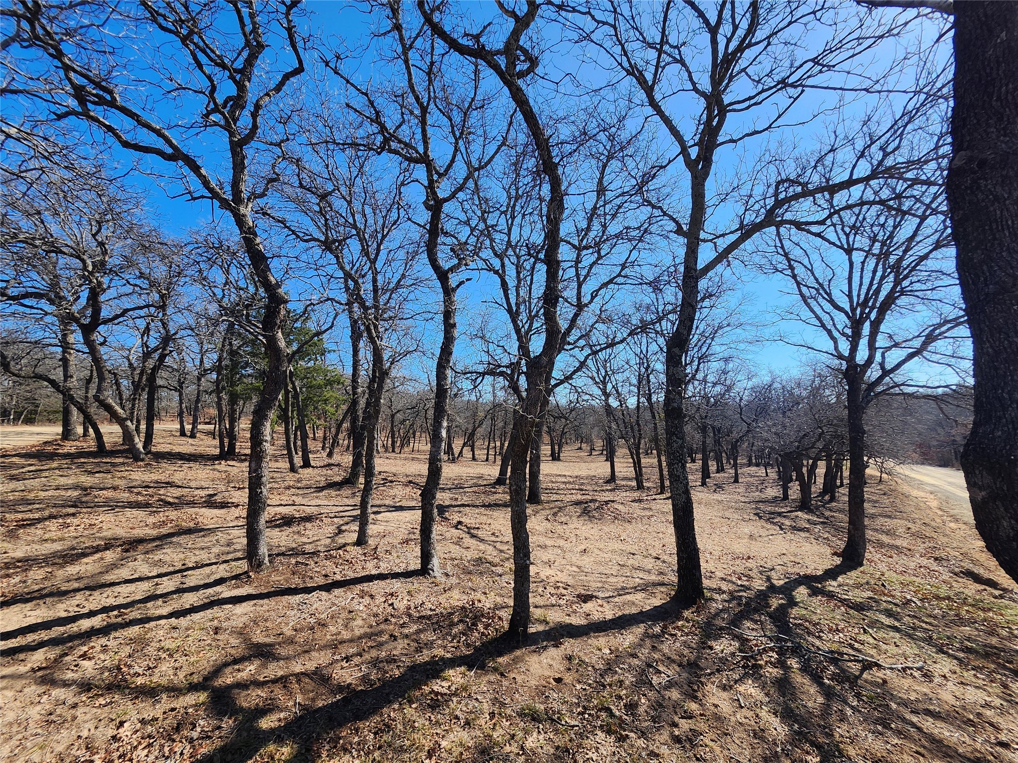 135 Mescalero Trail Nocona TX 76255