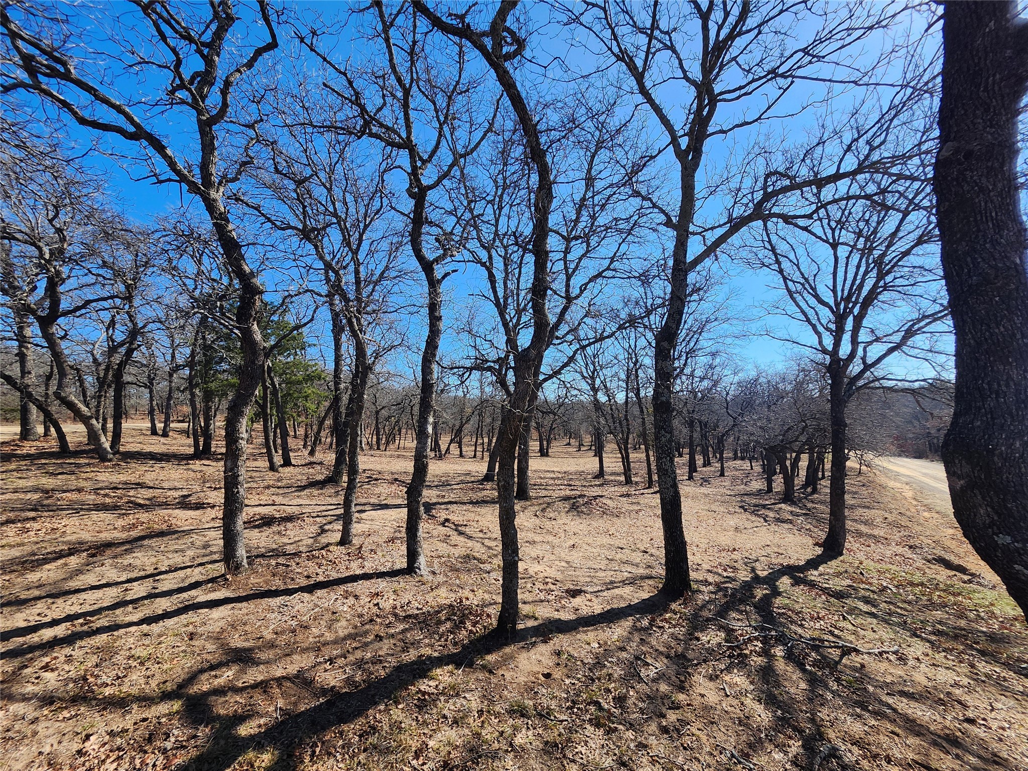 135 Mescalero Trail Nocona TX 76255