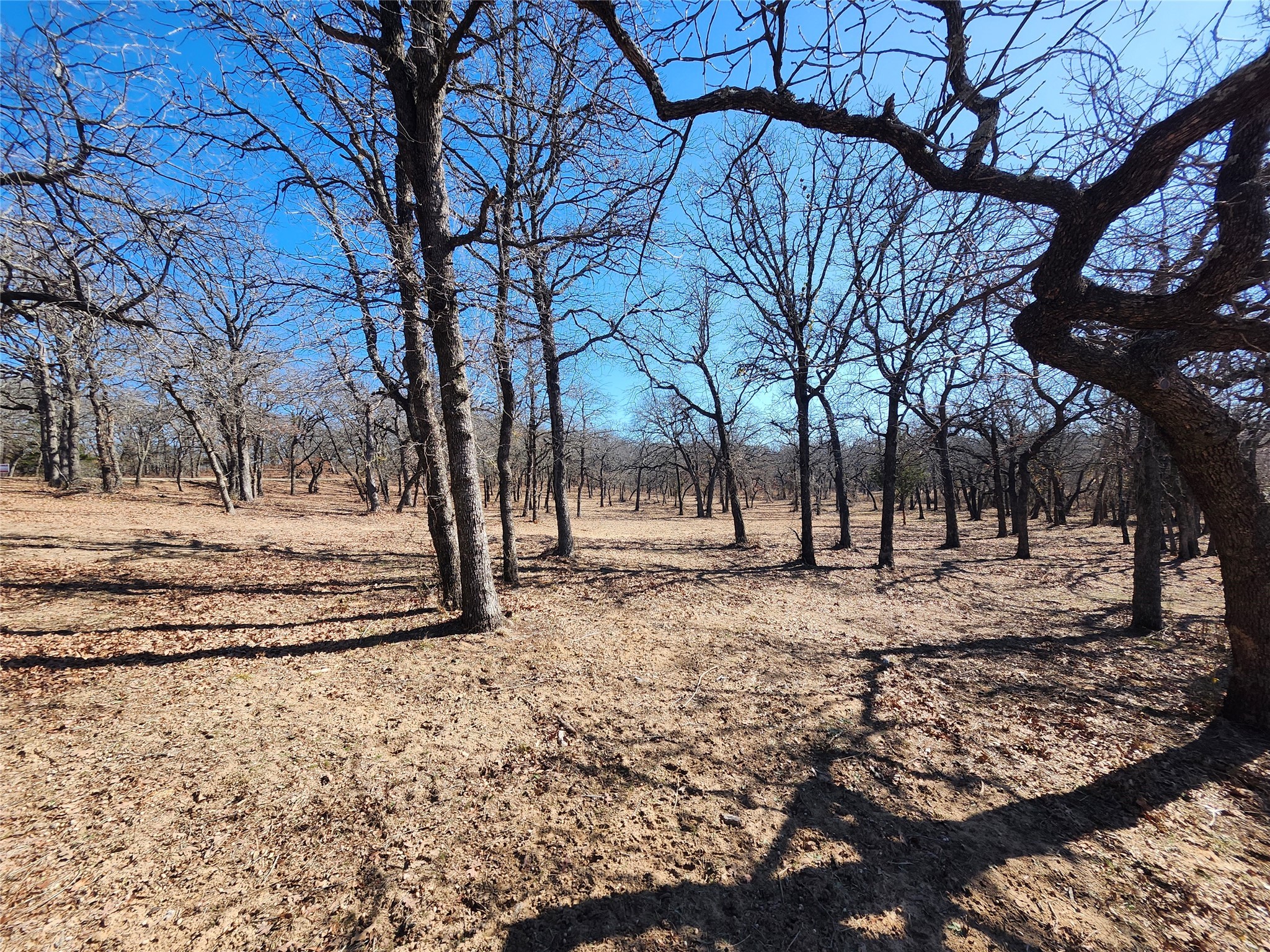 135 Mescalero Trail Nocona TX 76255