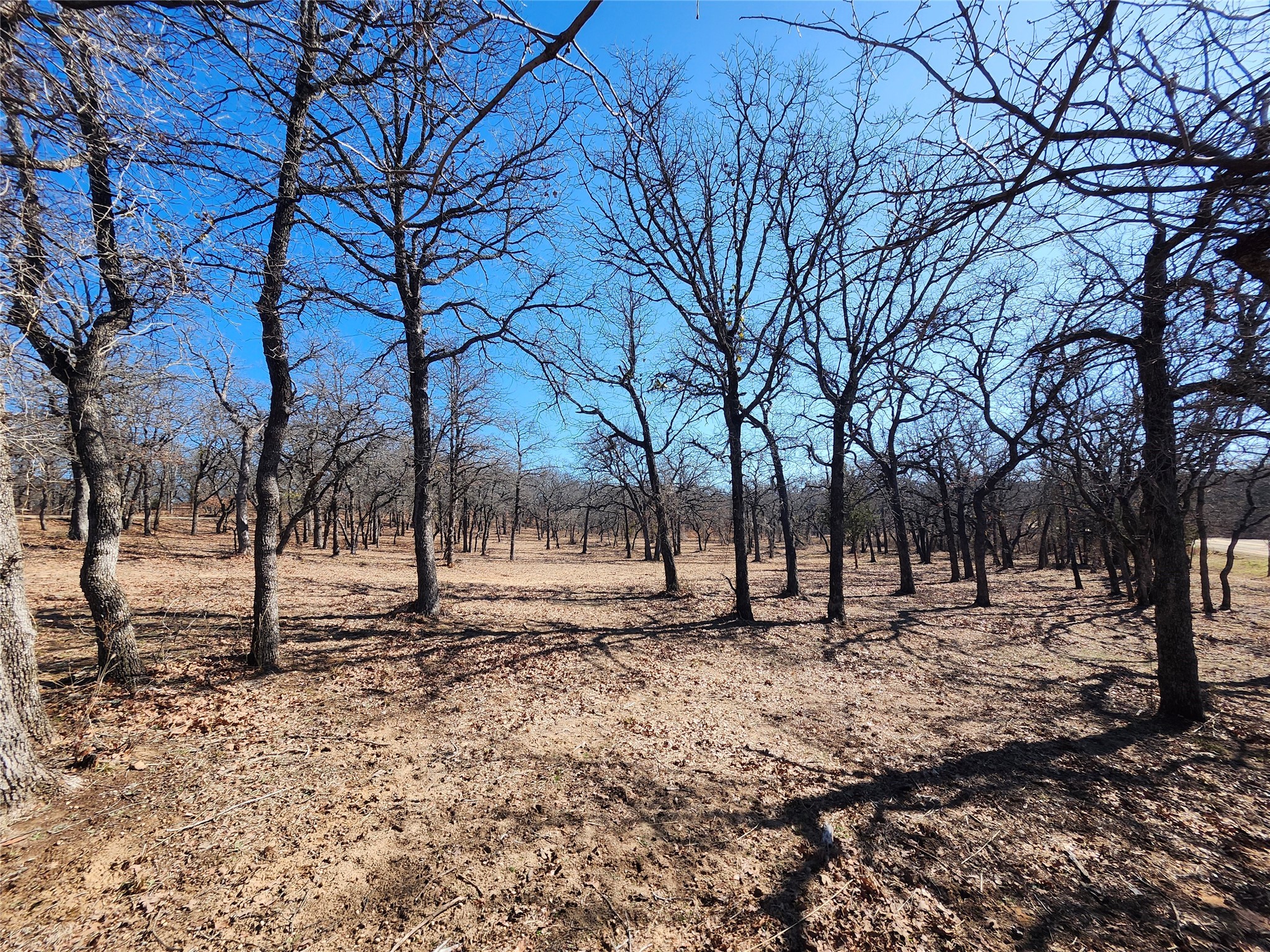 135 Mescalero Trail Nocona TX 76255
