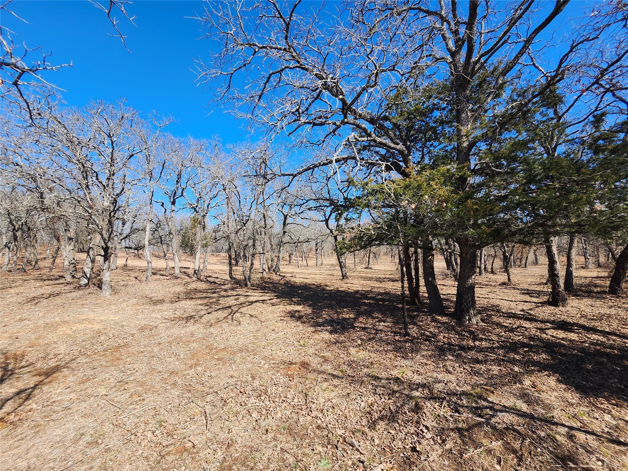135 Mescalero Trail Nocona TX 76255