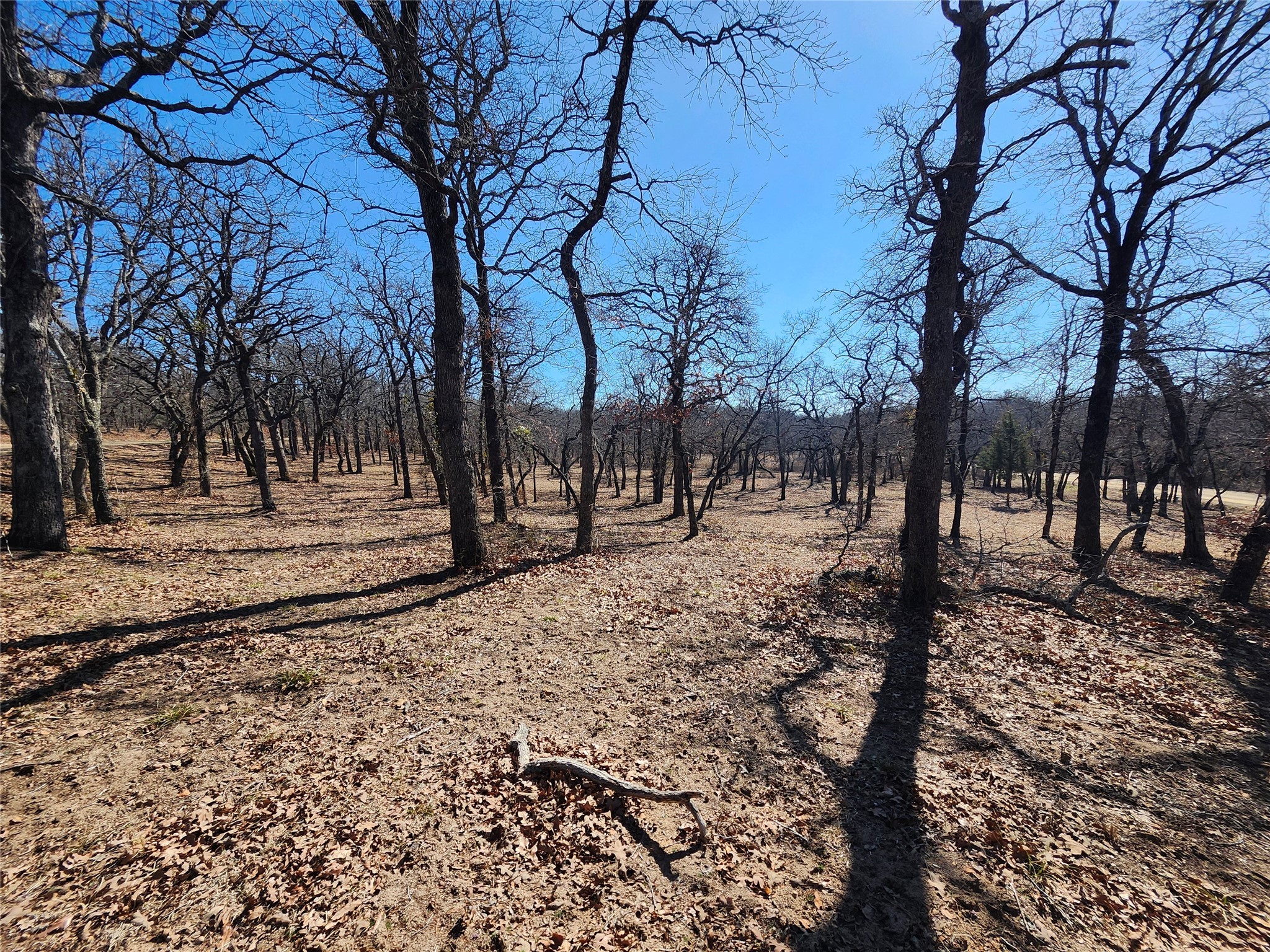 135 Mescalero Trail Nocona TX 76255