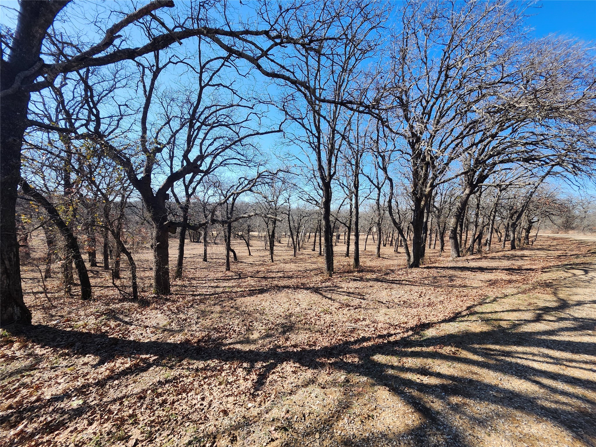 135 Mescalero Trail Nocona TX 76255