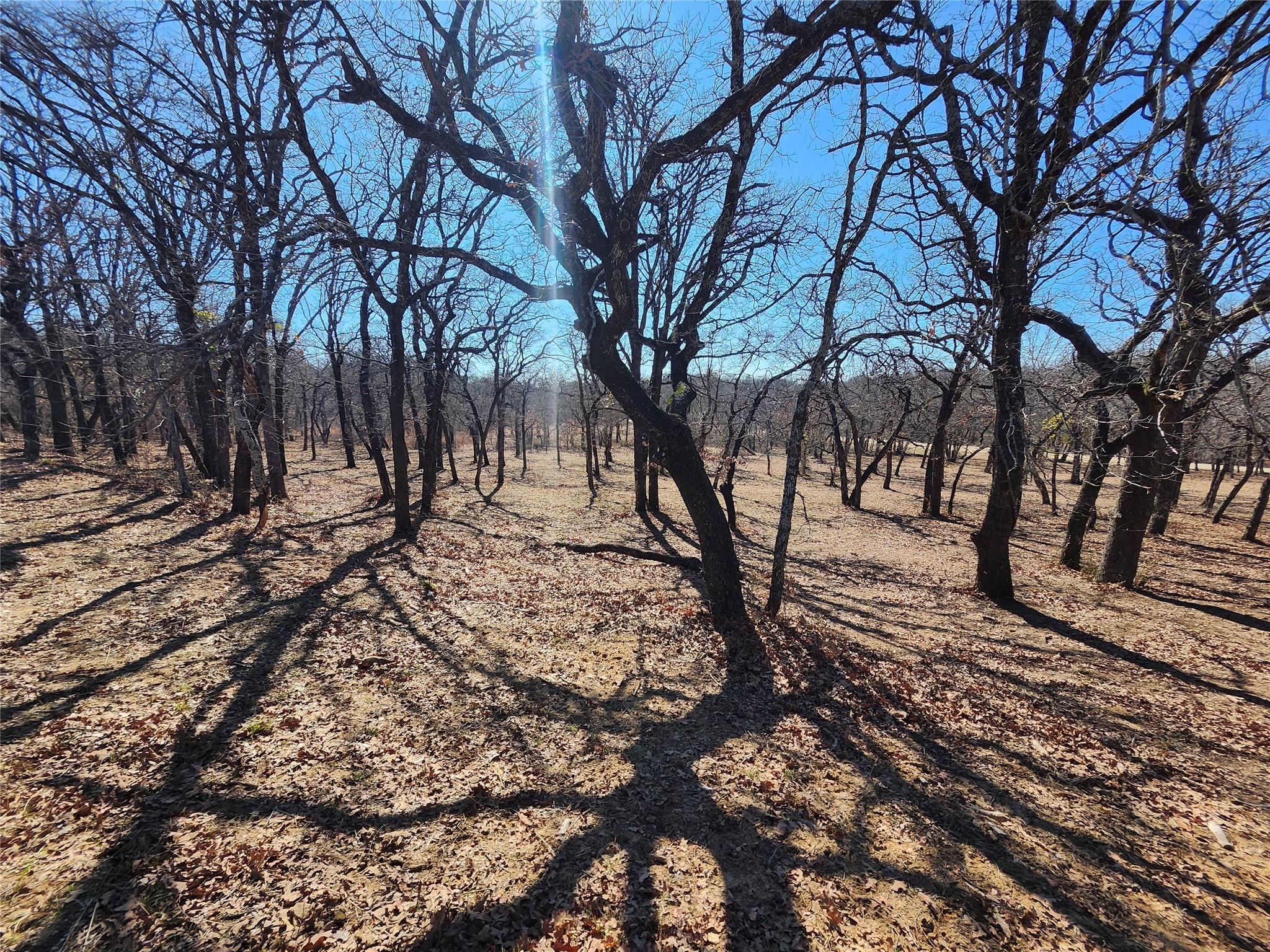 135 Mescalero Trail Nocona TX 76255