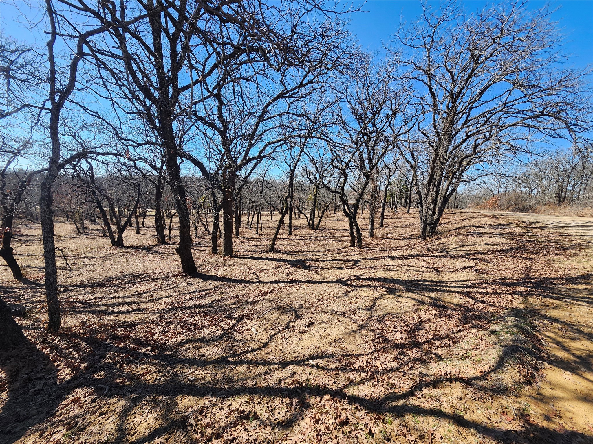 135 Mescalero Trail Nocona TX 76255