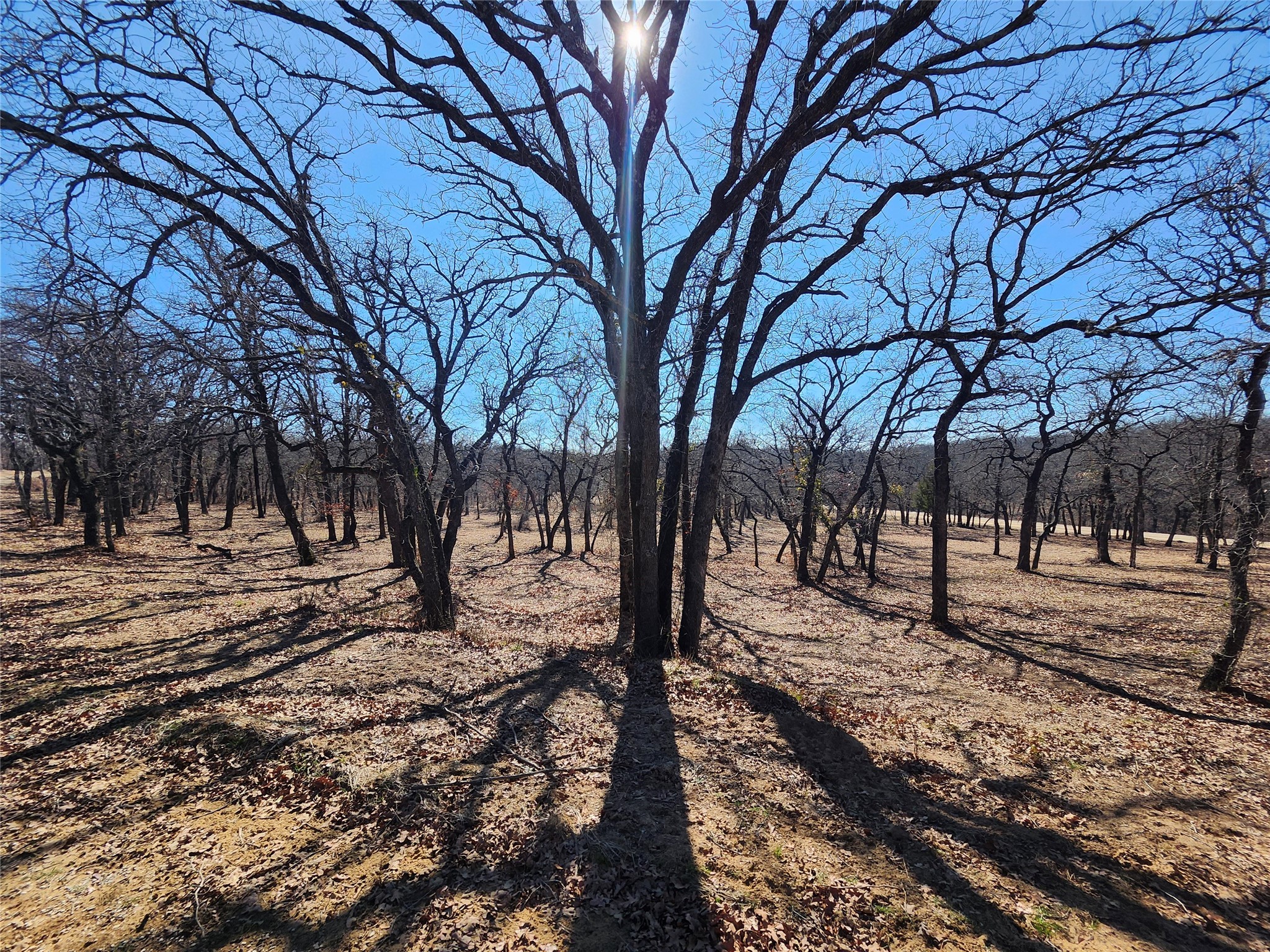 135 Mescalero Trail Nocona TX 76255