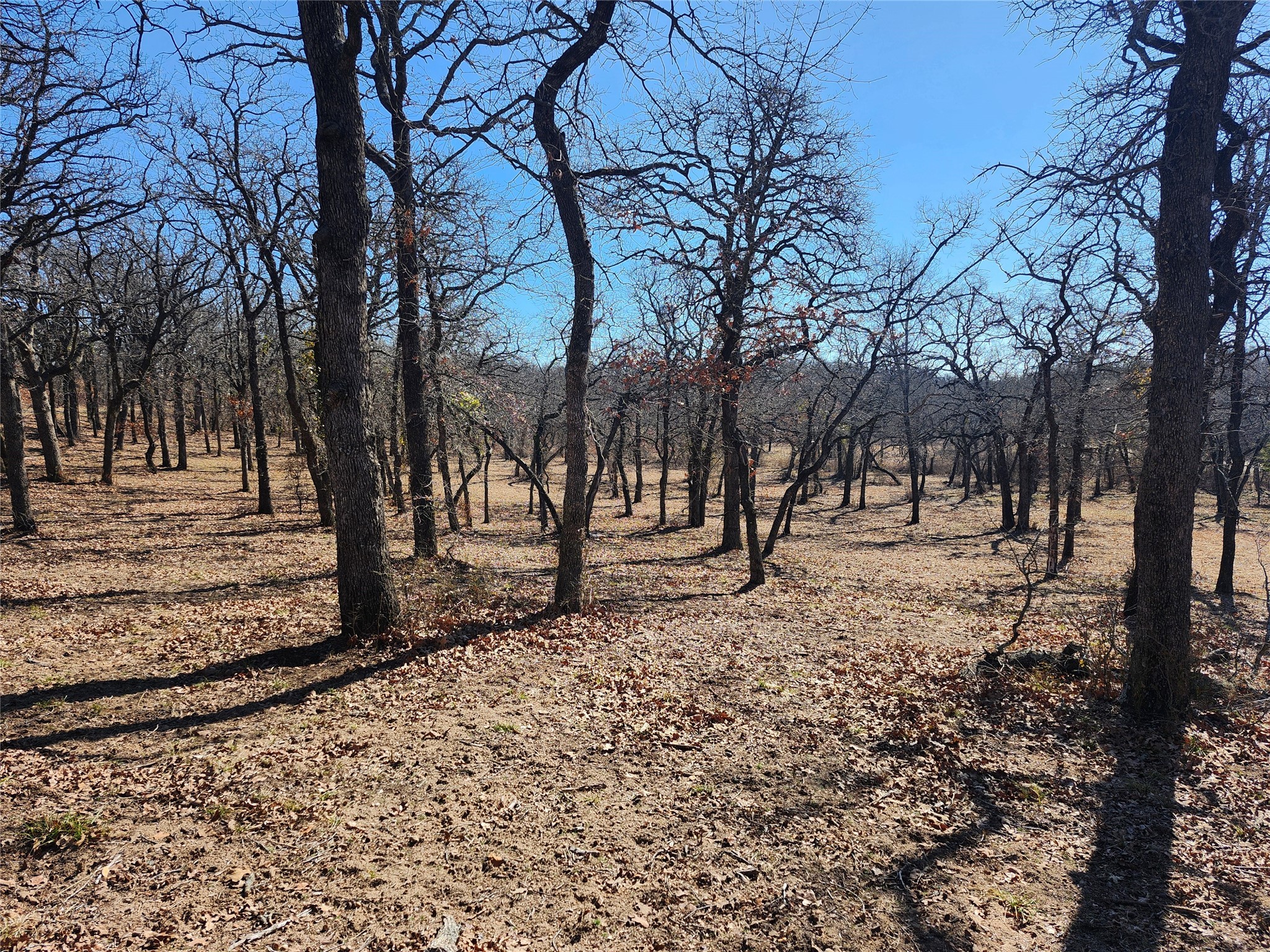 135 Mescalero Trail Nocona TX 76255