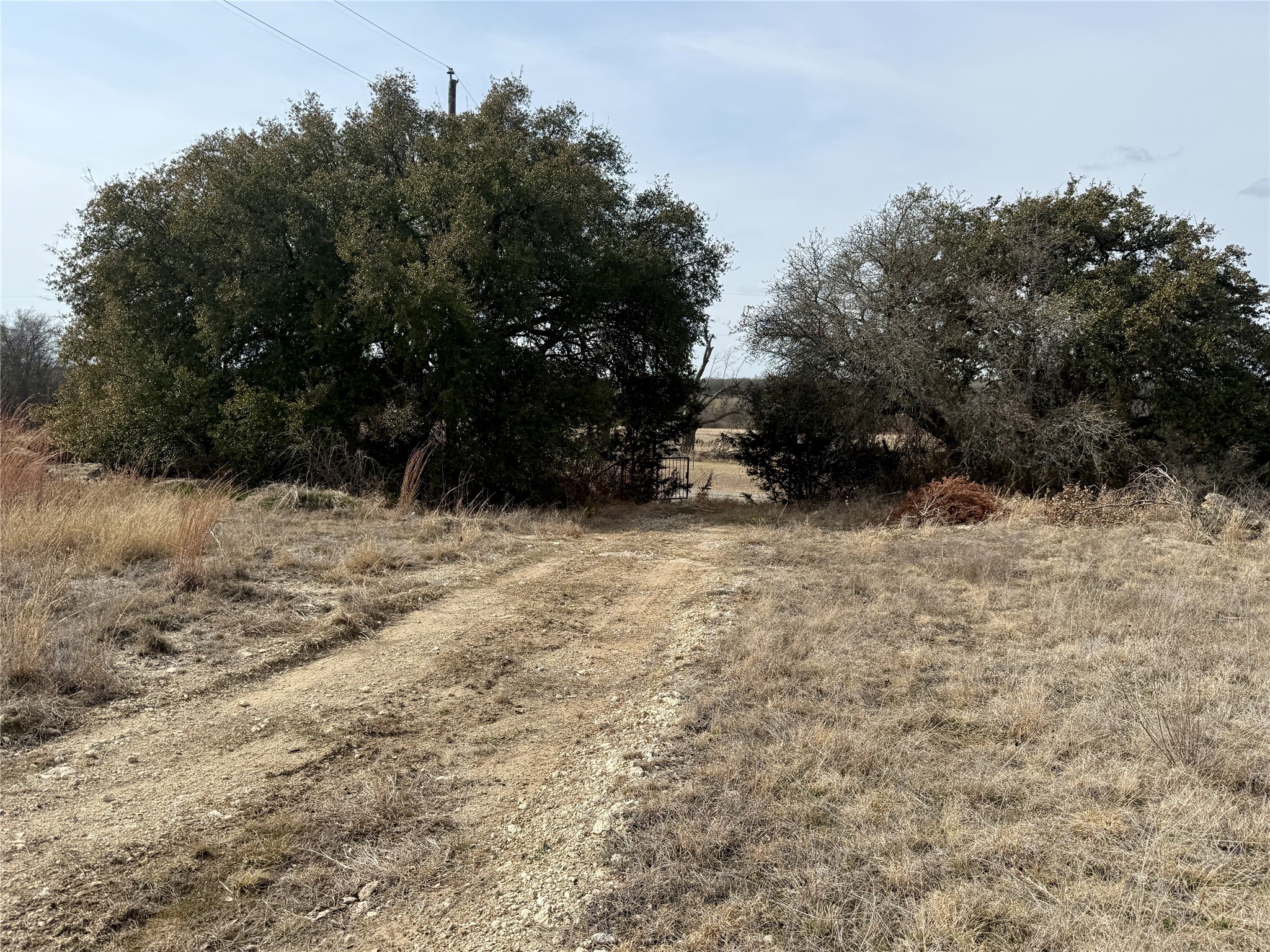 531 Fm 1744 Carlton TX 76436