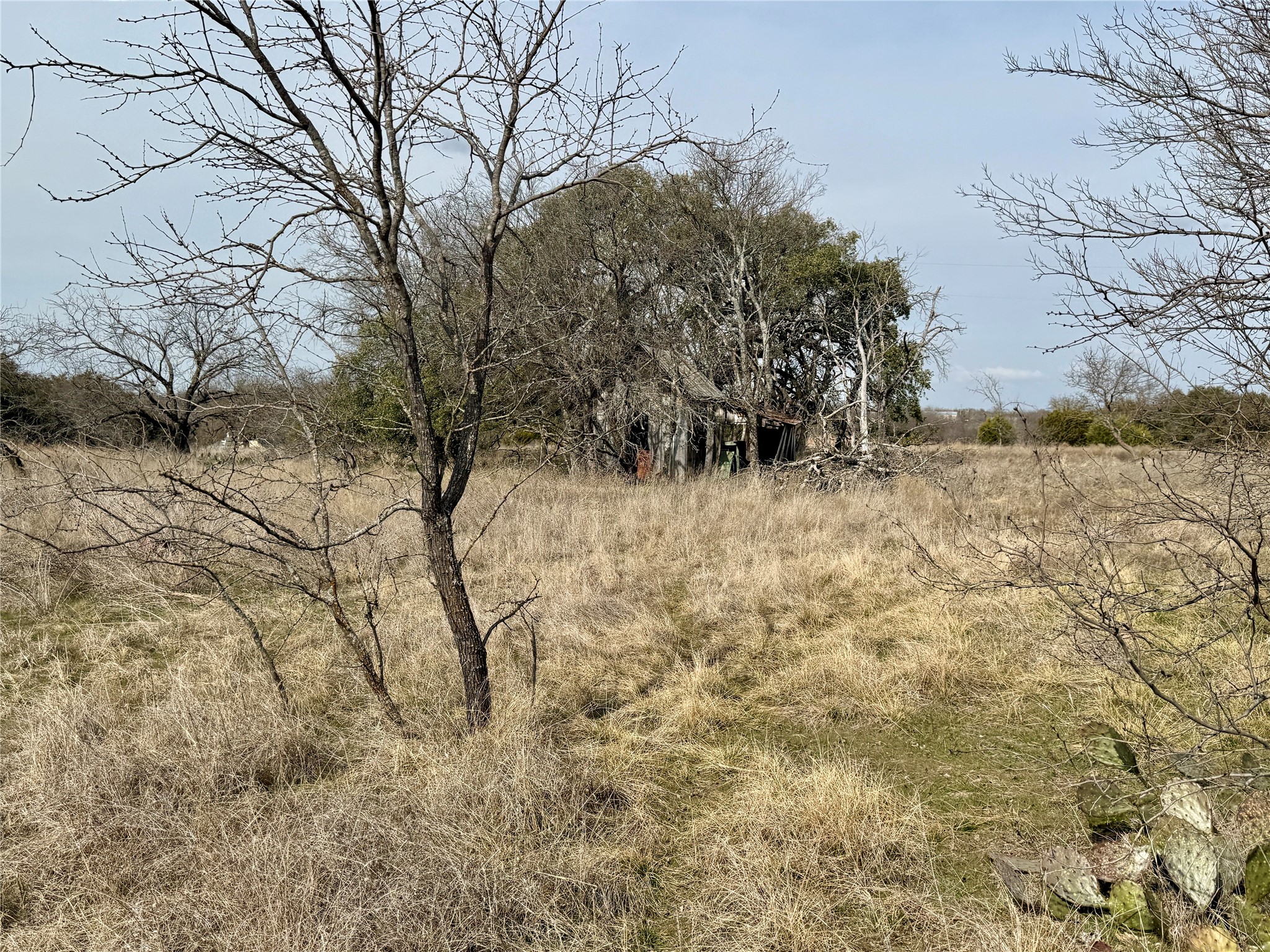 531 Fm 1744 Carlton TX 76436