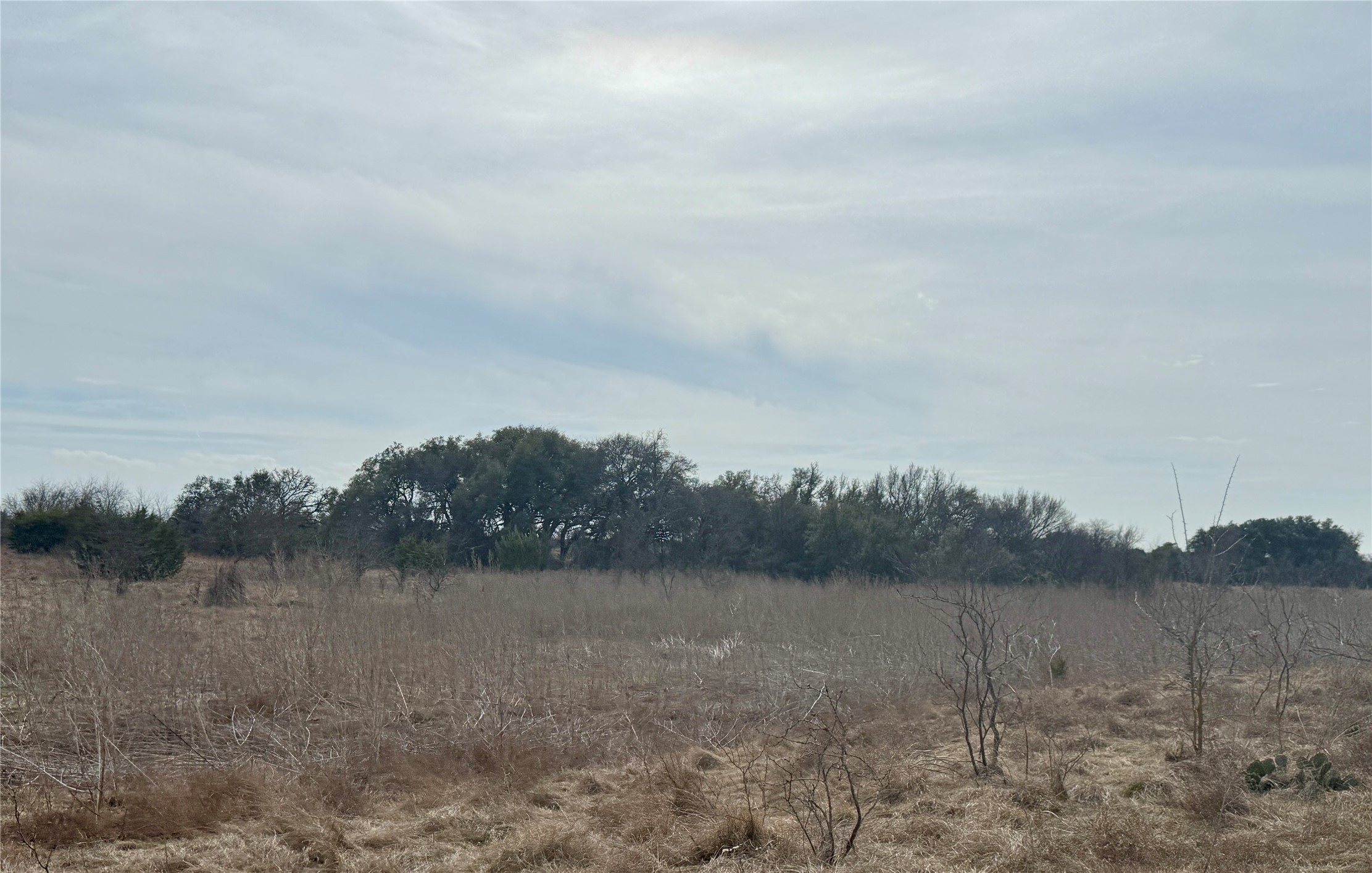 531 Fm 1744 Carlton TX 76436