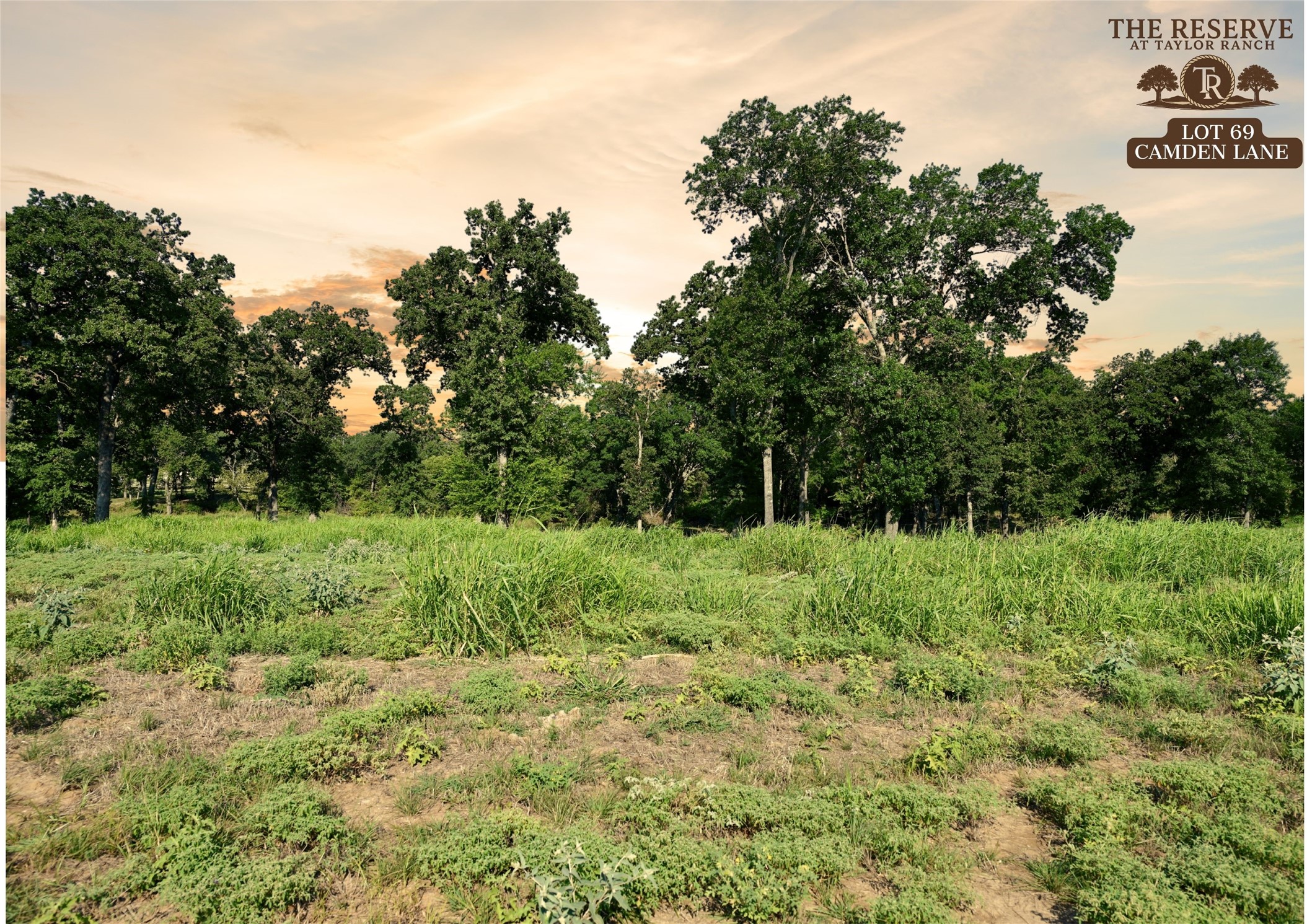 Lot 69 Camden Lane Springtown TX 76082