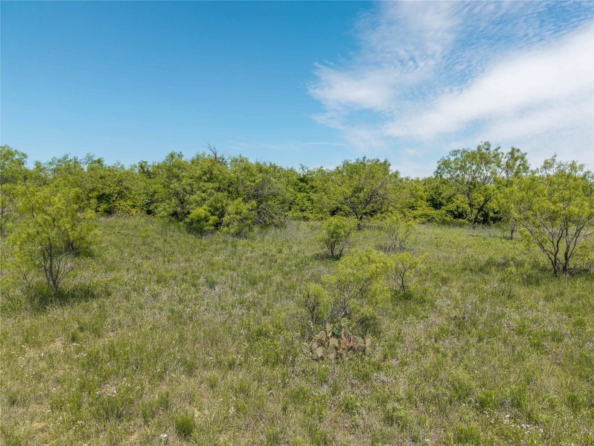 Tbd County Road 372 Early TX 76802