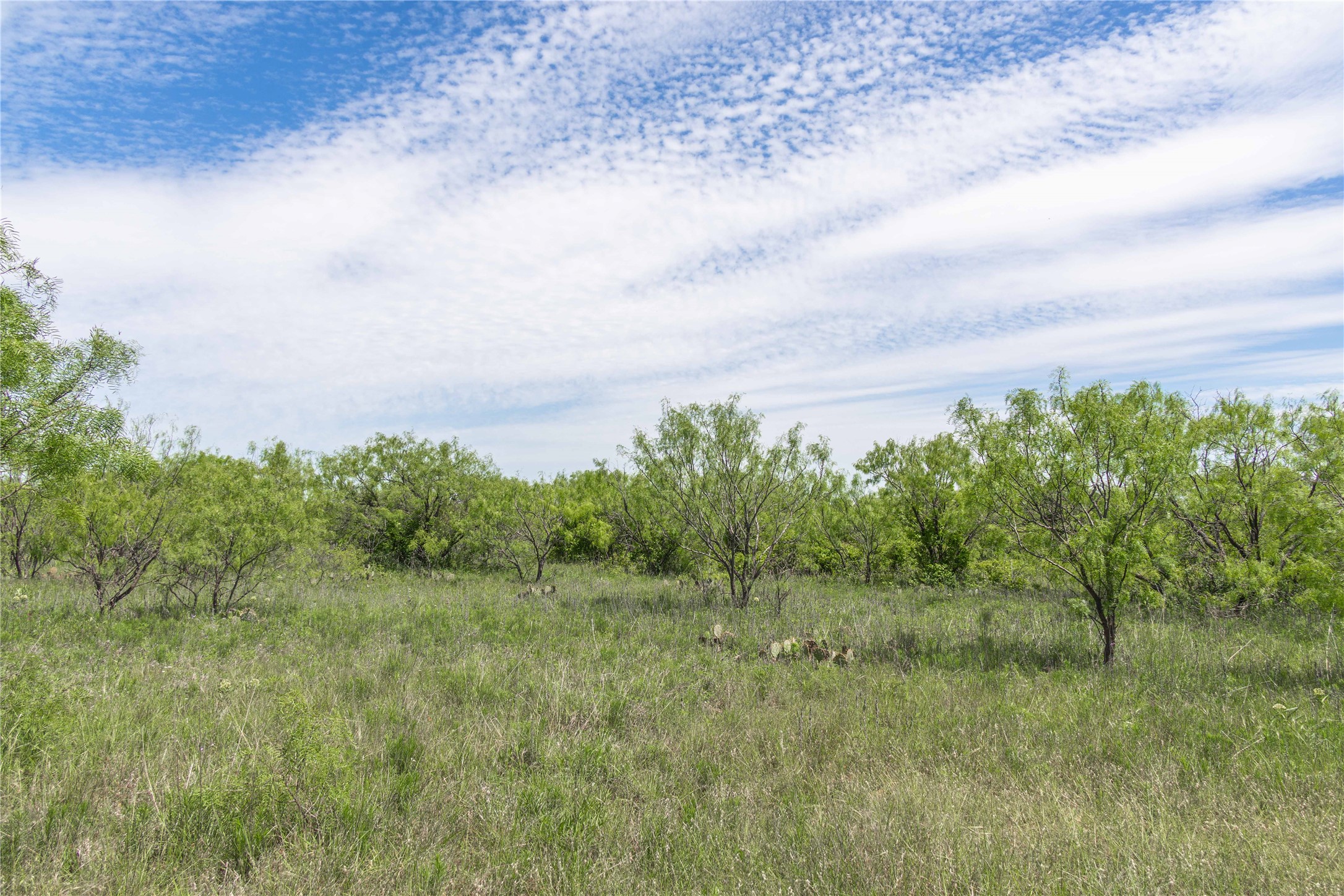 Tbd County Road 372 Early TX 76802