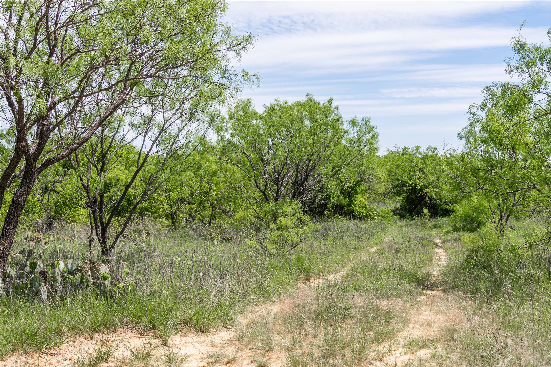 Tbd County Road 372 Early TX 76802