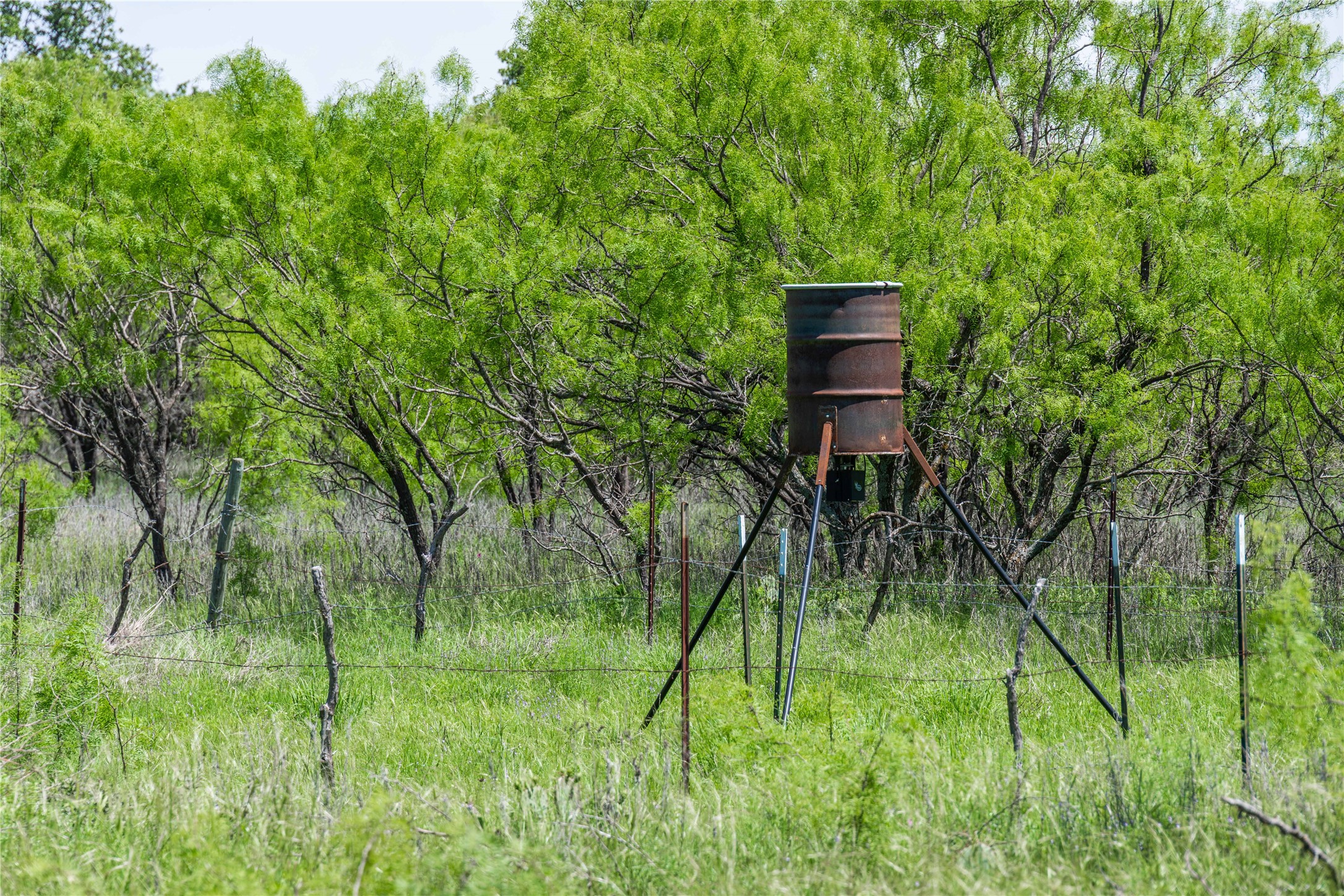 Tbd County Road 372 Early TX 76802