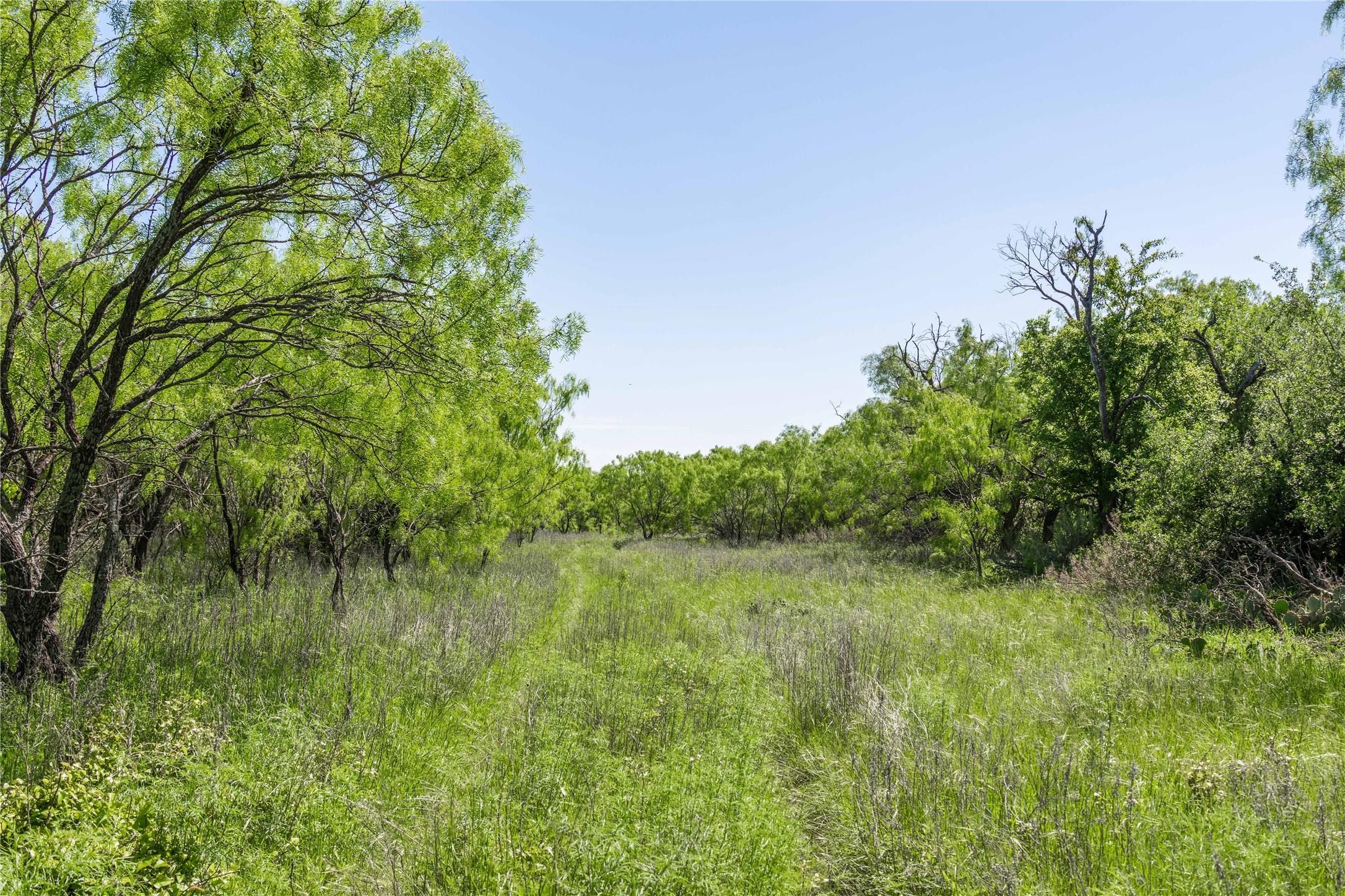Tbd County Road 372 Early TX 76802