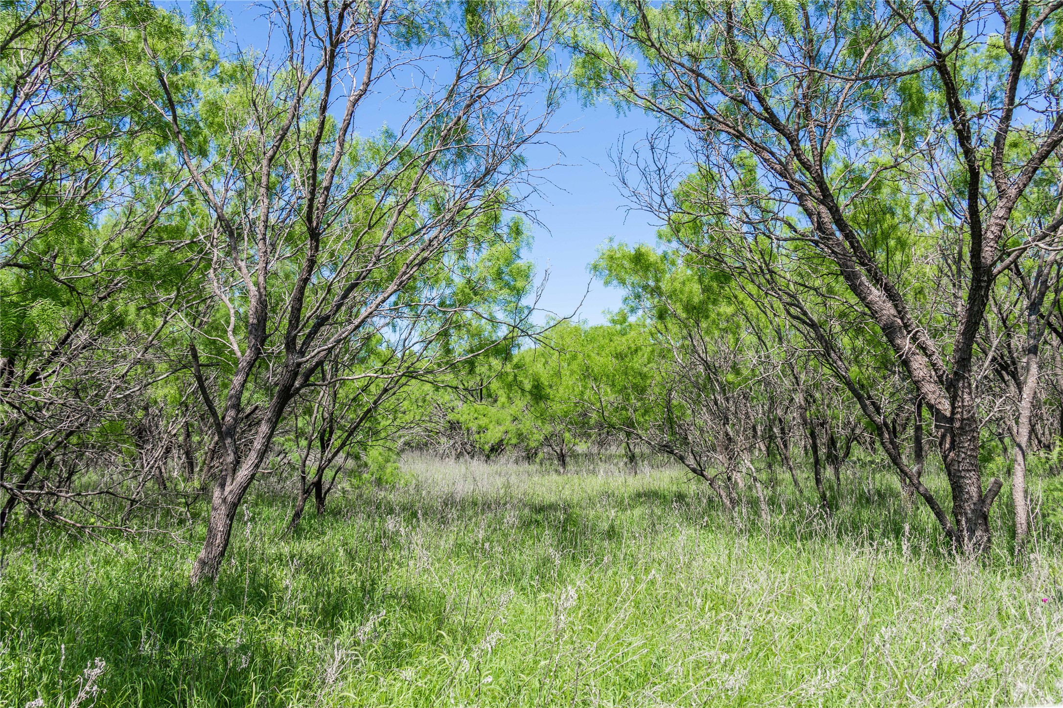 Tbd County Road 372 Early TX 76802