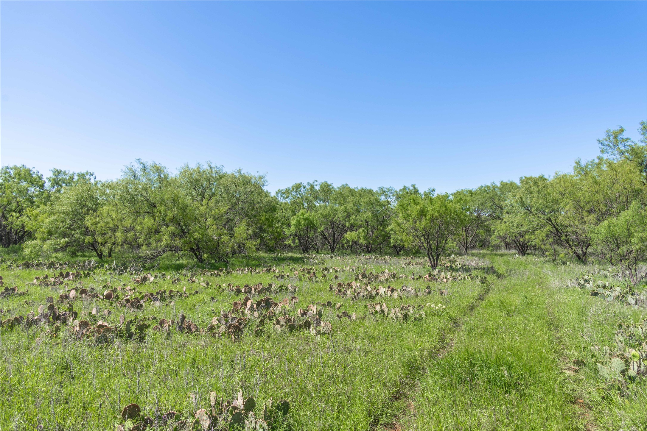 Tbd County Road 372 Early TX 76802