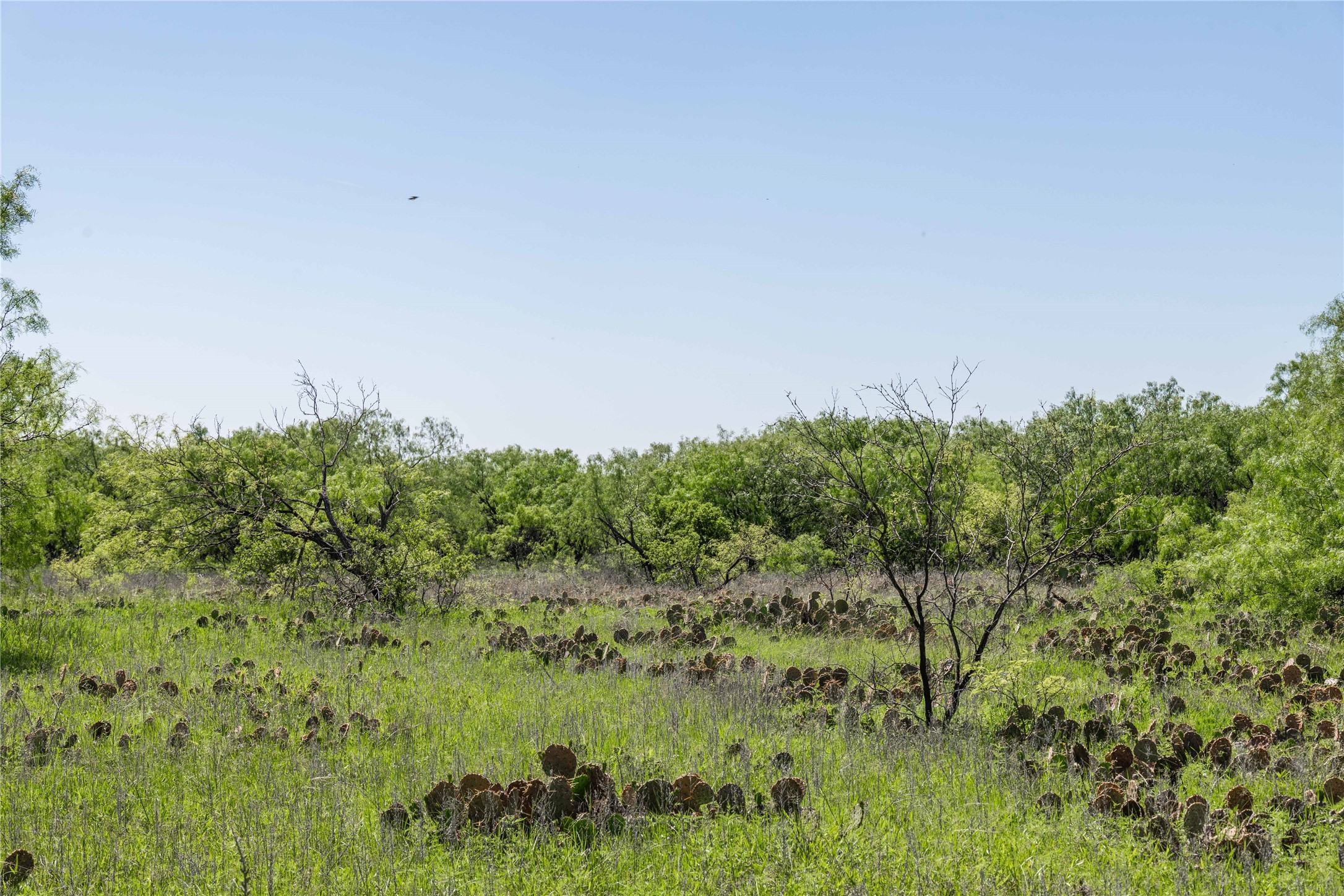 Tbd County Road 372 Early TX 76802