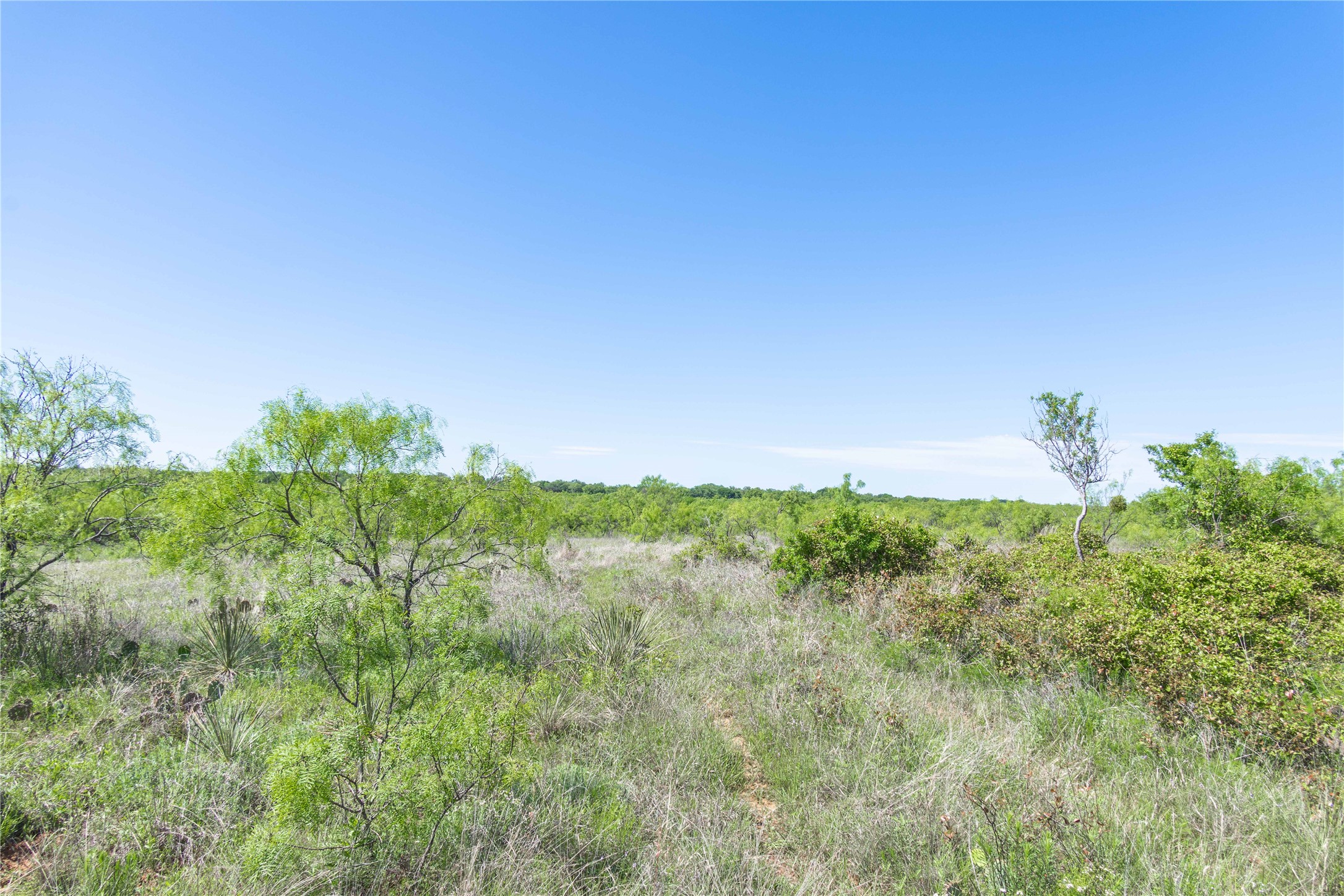 Tbd County Road 372 Early TX 76802