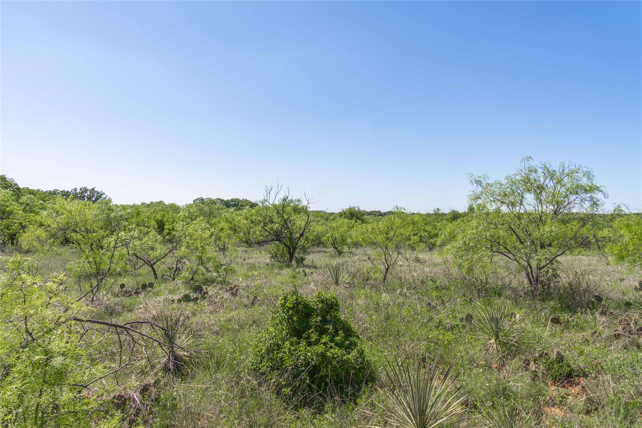 Tbd County Road 372 Early TX 76802