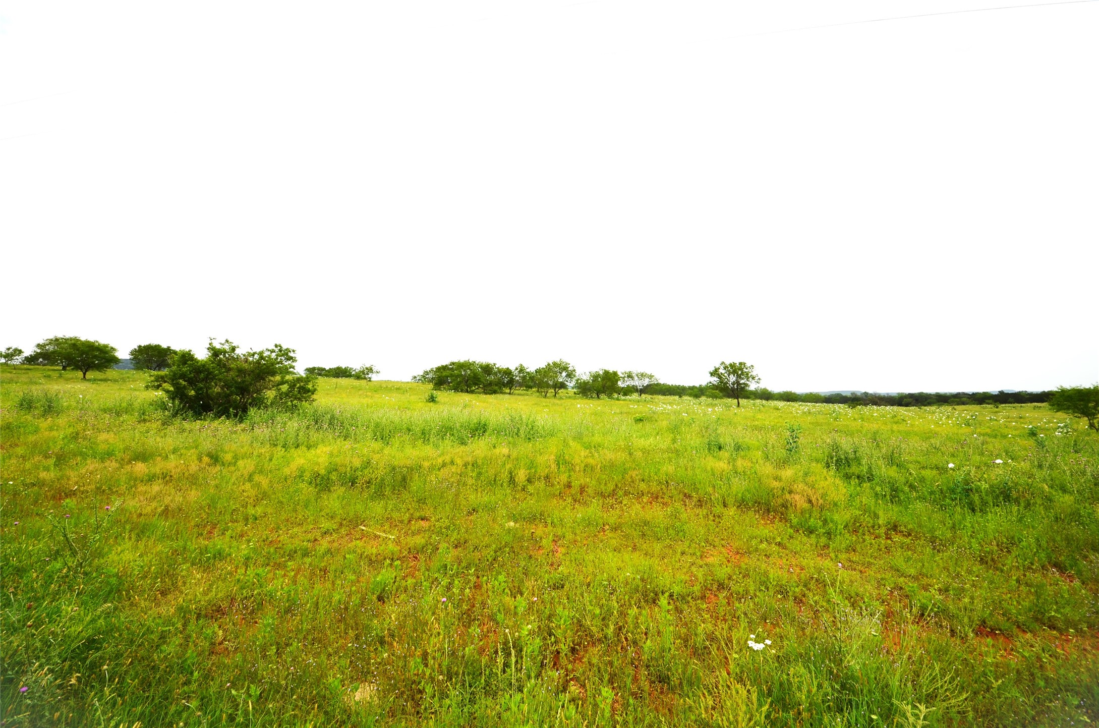 Tbd Grouse Ridge Palo Pinto TX 76484