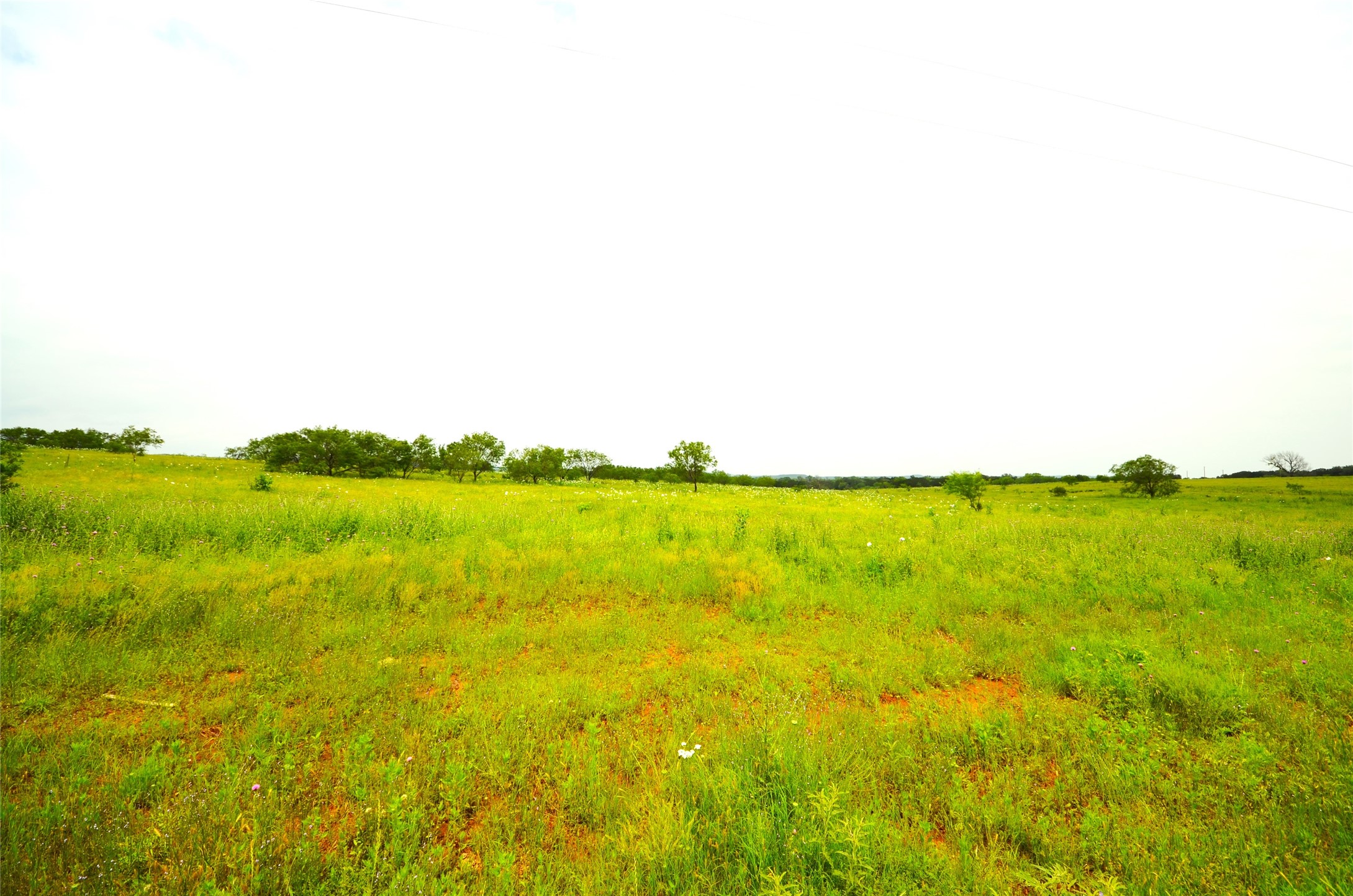 Tbd Grouse Ridge Palo Pinto TX 76484