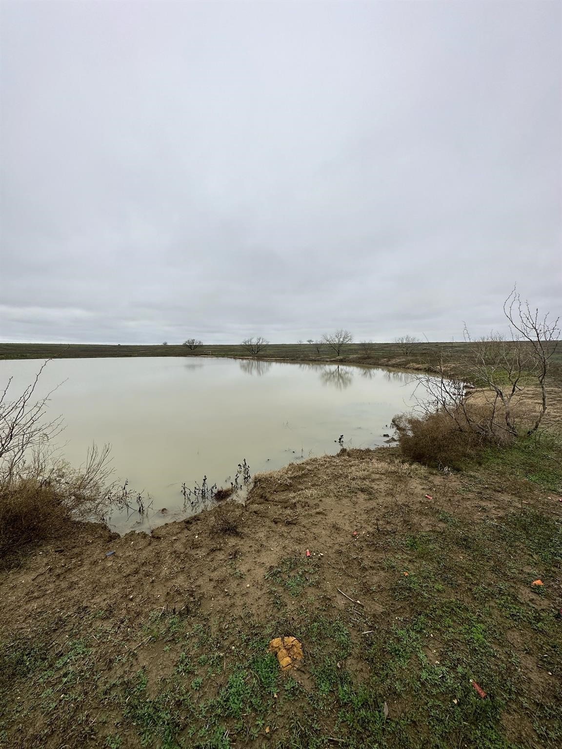 50.61 Acres Ohanlon Road Whitesboro TX 76268