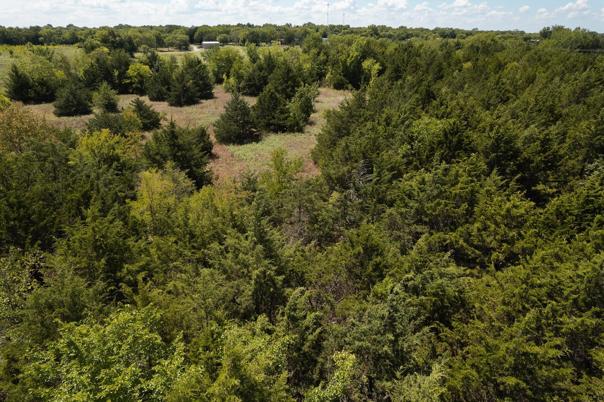 40 Acres Turner Road Bells TX 75414