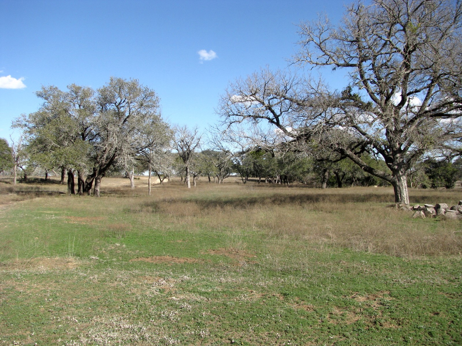 1466 Buffalo Creek Drive Drive Evant TX 76525