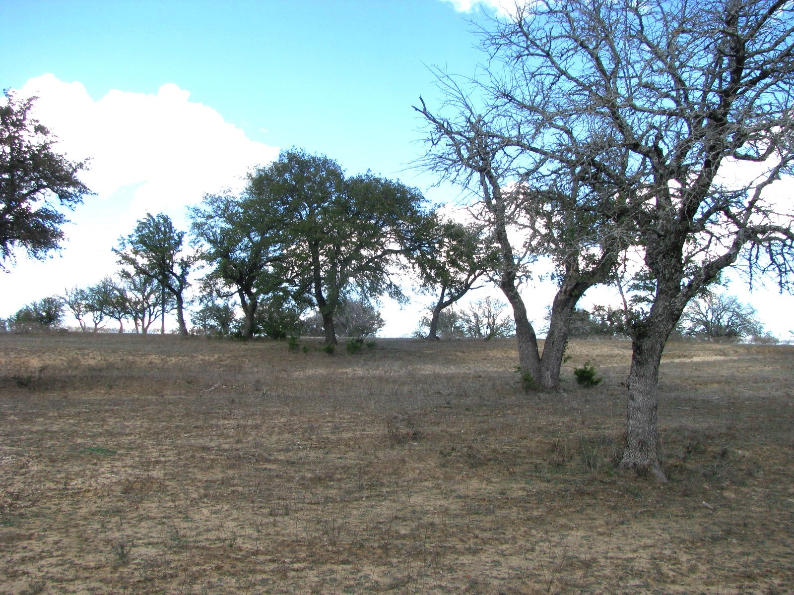 1466 Buffalo Creek Drive Drive Evant TX 76525
