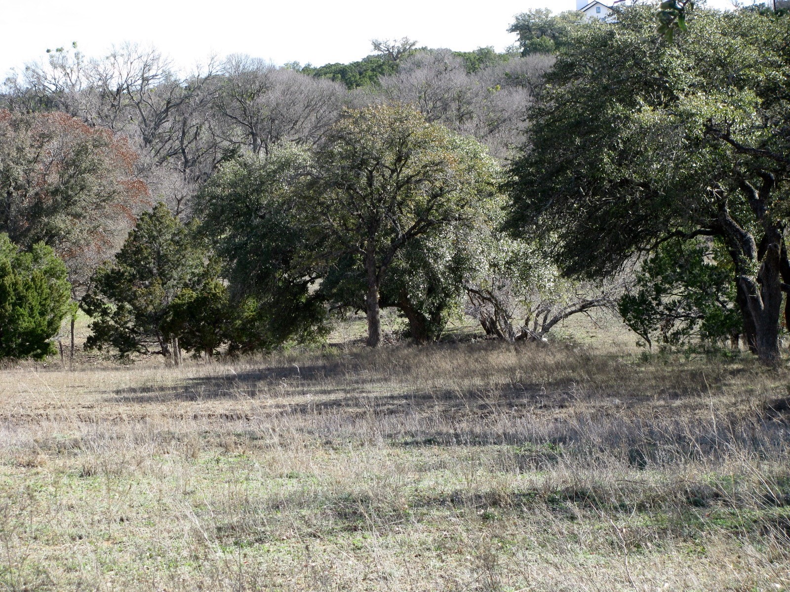 1466 Buffalo Creek Drive Drive Evant TX 76525