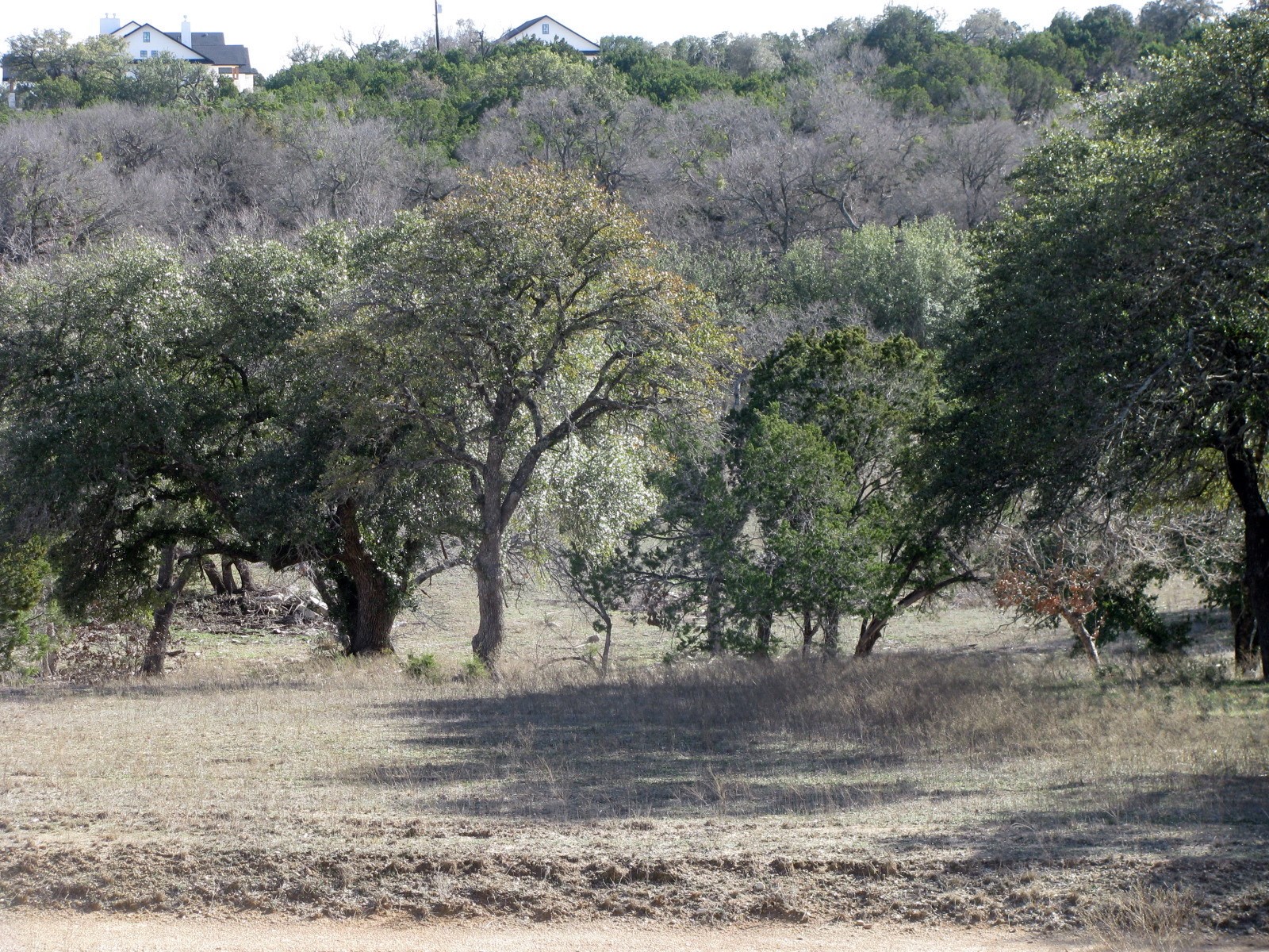 1466 Buffalo Creek Drive Drive Evant TX 76525