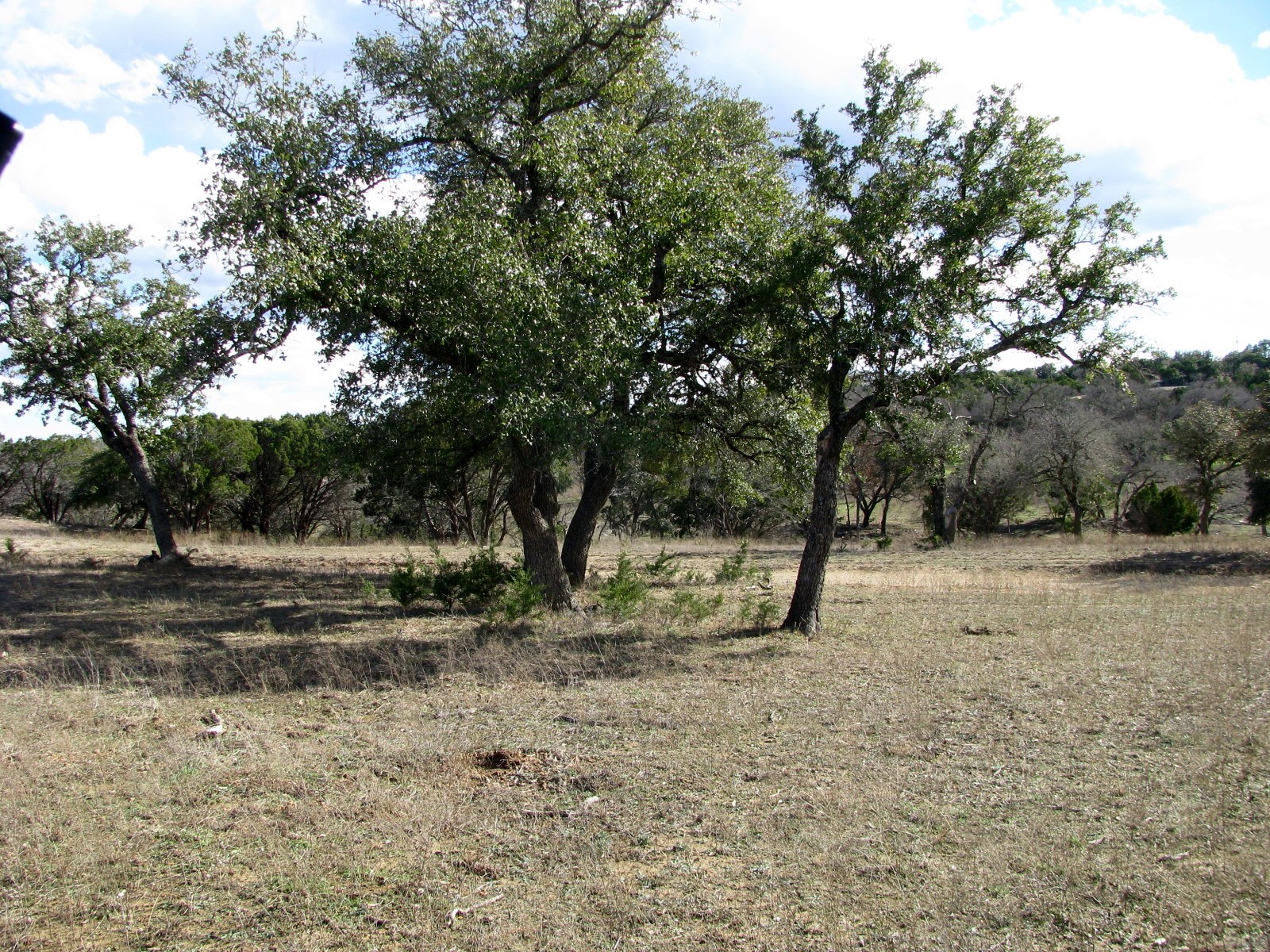 1466 Buffalo Creek Drive Drive Evant TX 76525