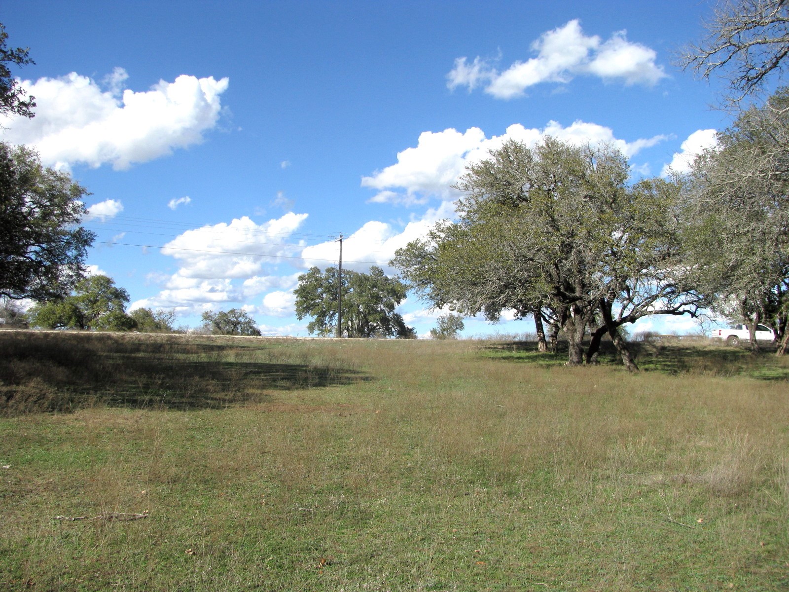 1466 Buffalo Creek Drive Drive Evant TX 76525