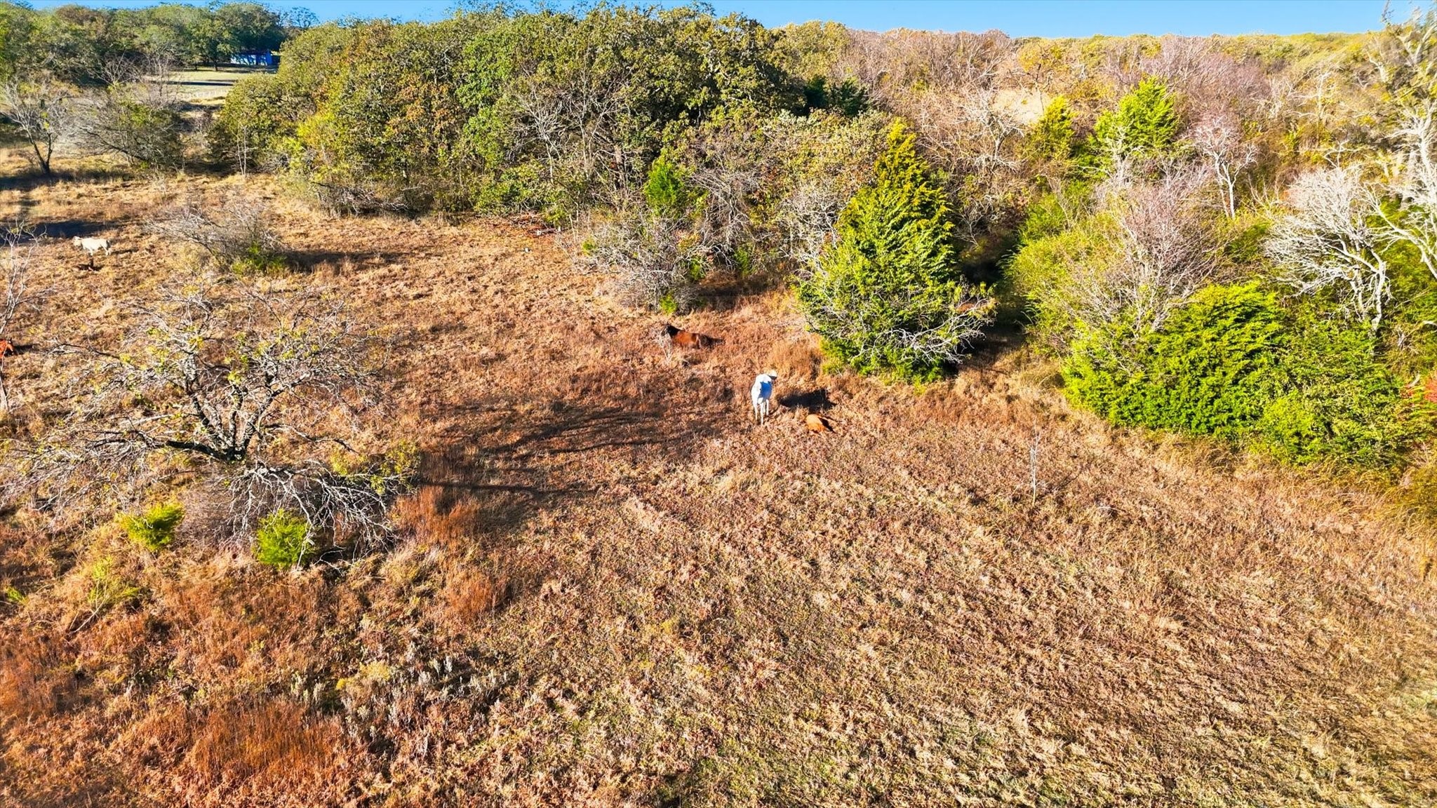 5040 Wagon Wheel Road Joshua TX 76058