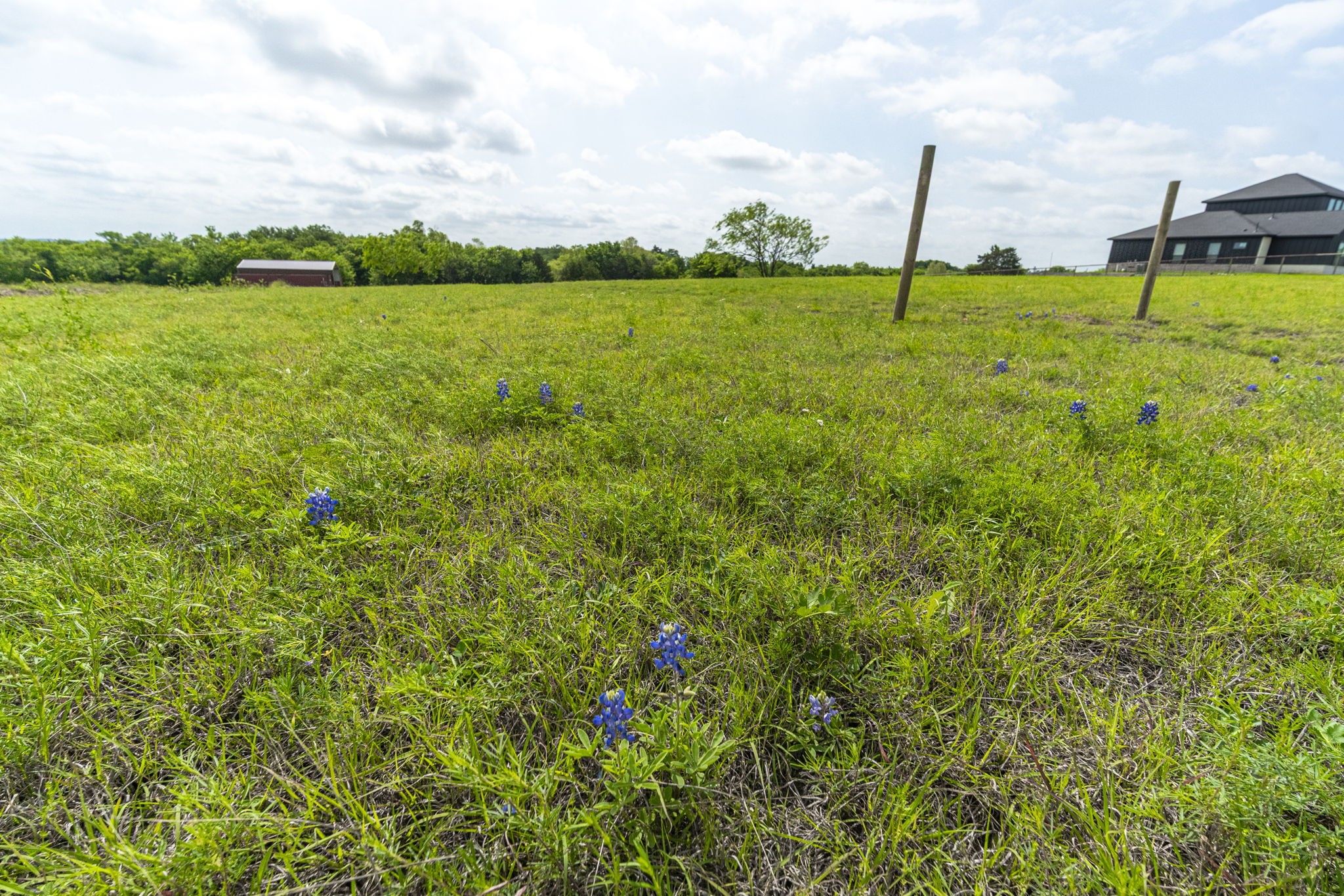 1401 E Campus Road Palmer TX 75152