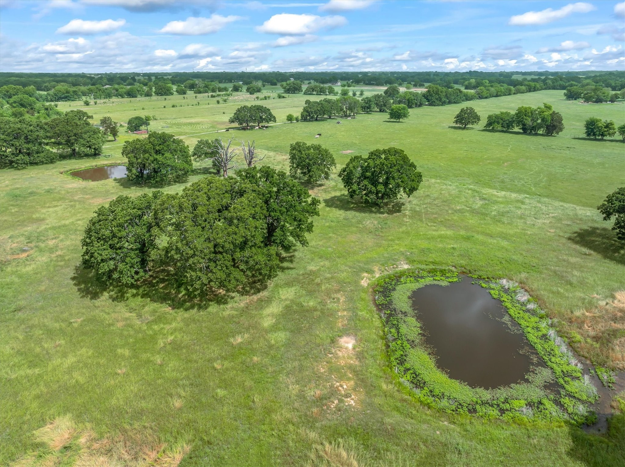 Tbd Fm-1395 Edgewood TX 75117