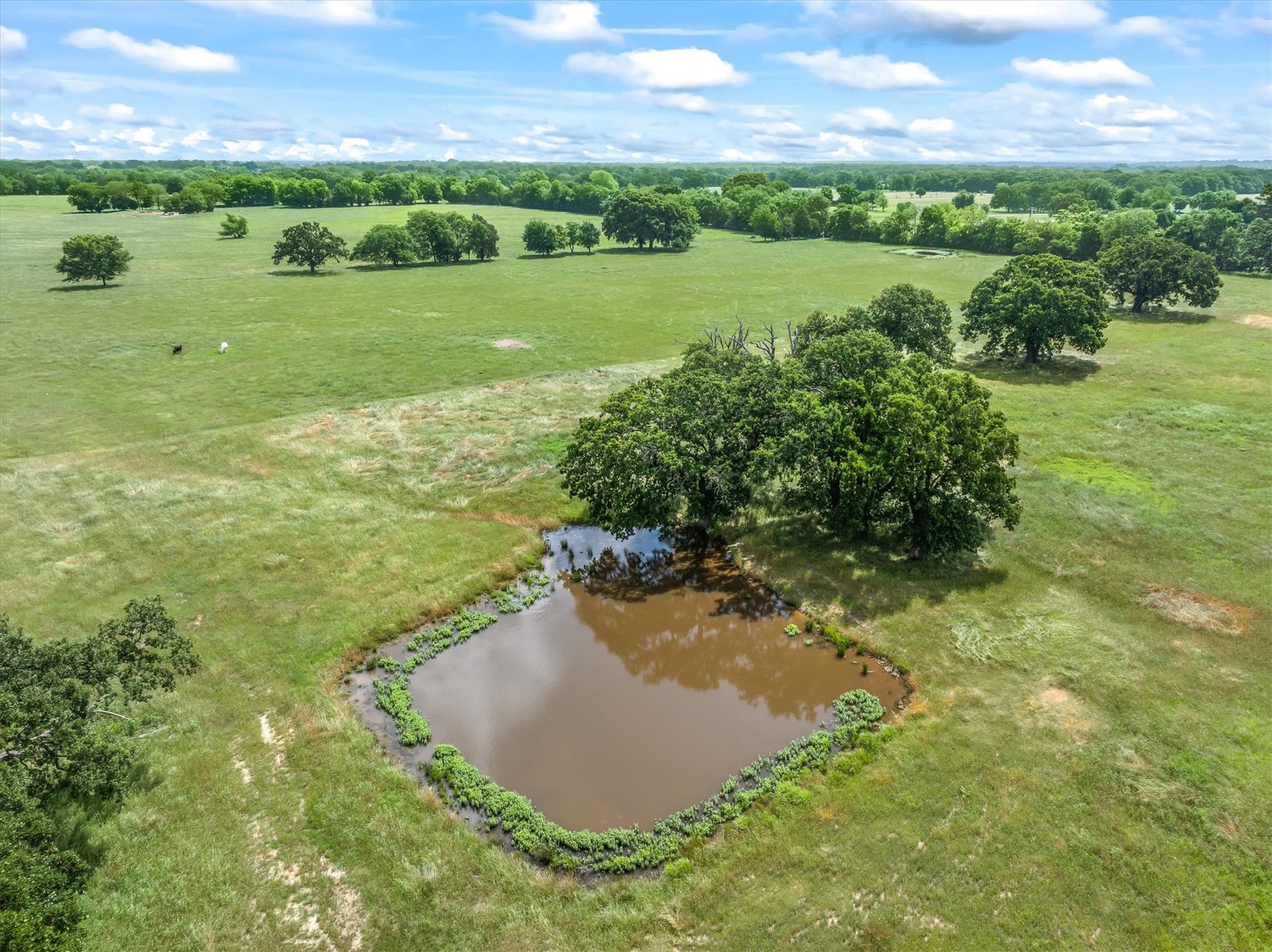 Tbd Fm-1395 Edgewood TX 75117