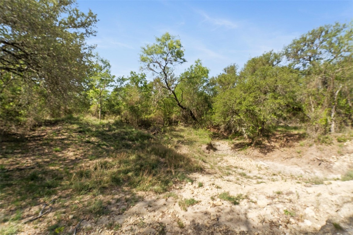 7309 Cr 321 Blanket TX 76432